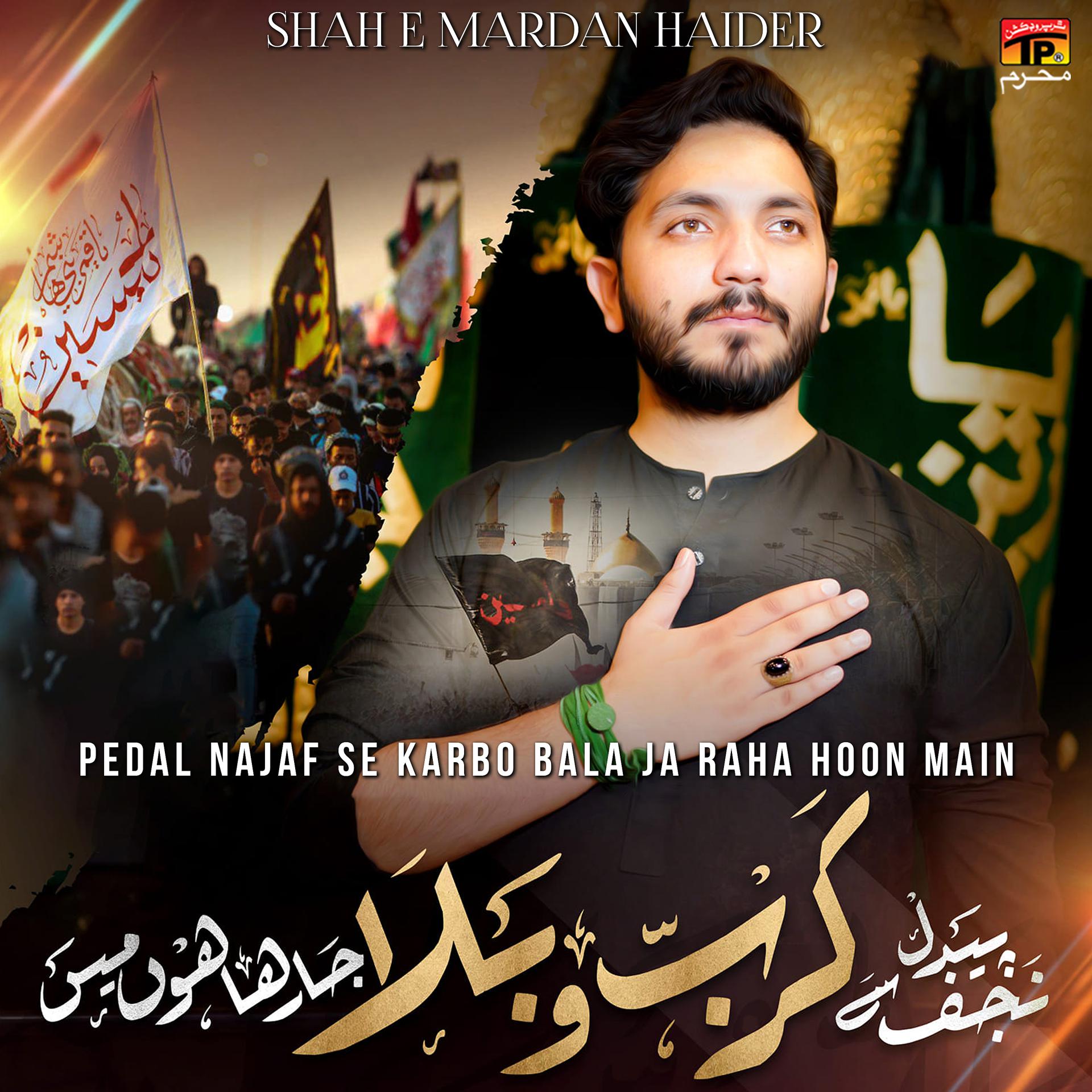 Постер альбома Pedal Najaf Se Karbo Bala Ja Raha Hoon Main - Single