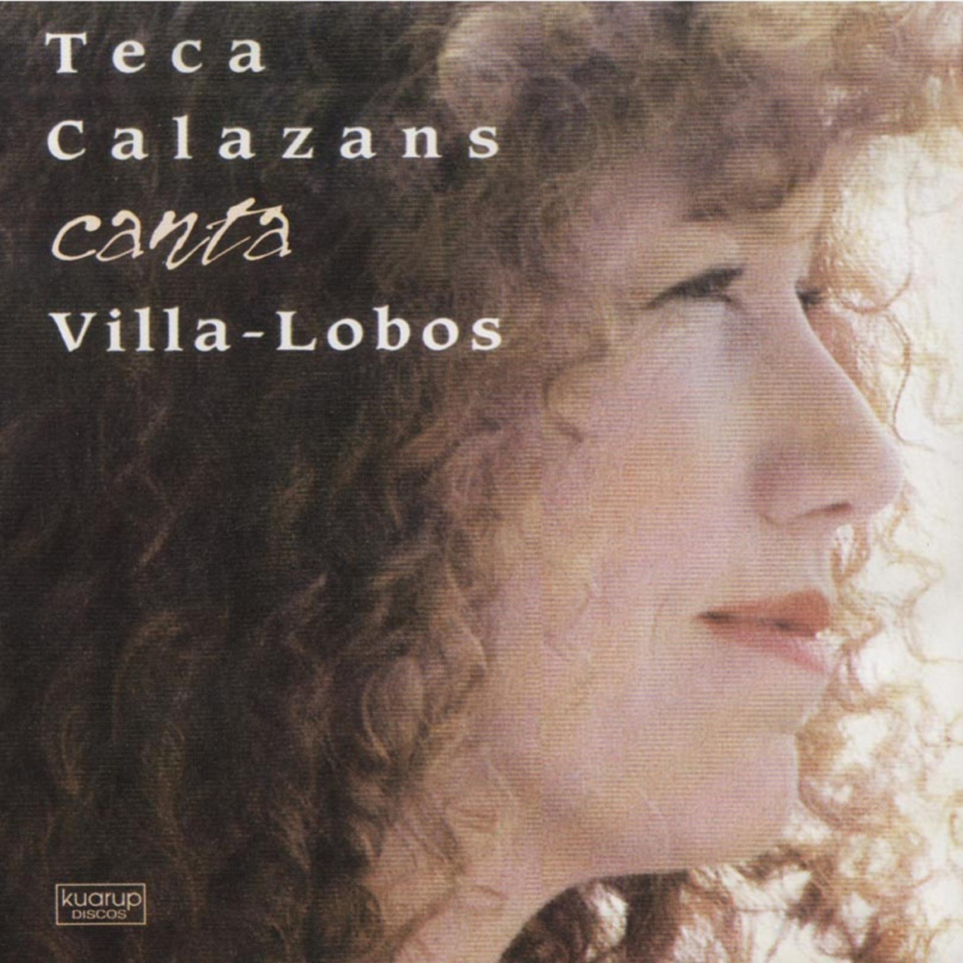 Постер альбома Teca Calazans Canta Villa Lobos