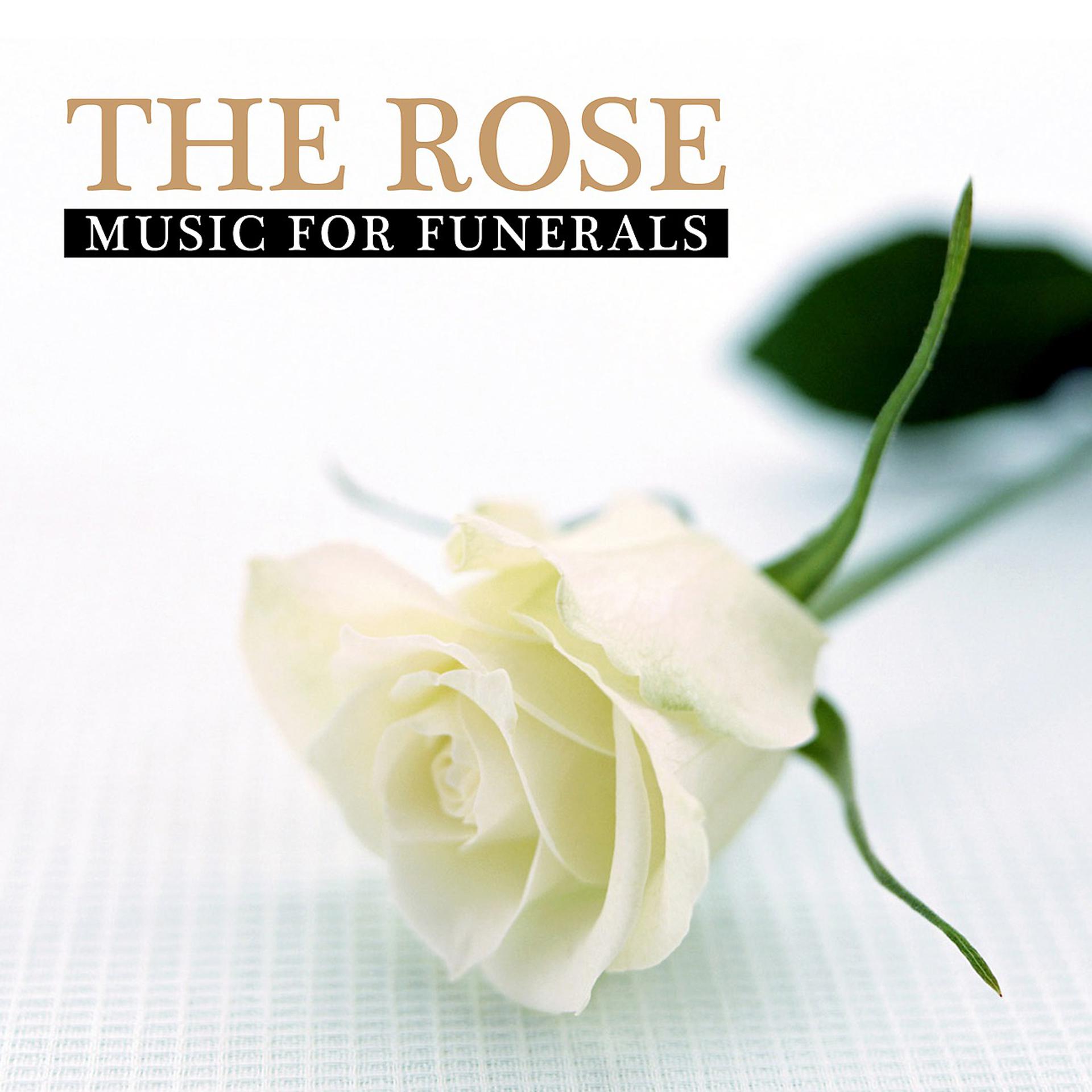 Постер альбома The Rose - Music for Funerals