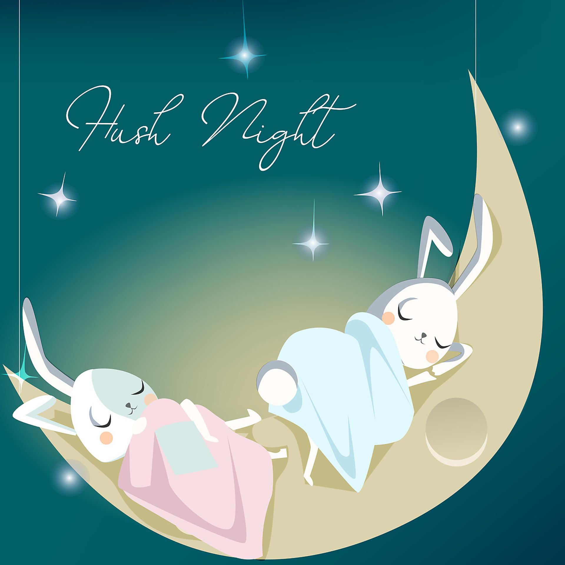 Постер альбома Hush Night - Soothing Collection for Newborn, Nighty Night Baby Lullabies