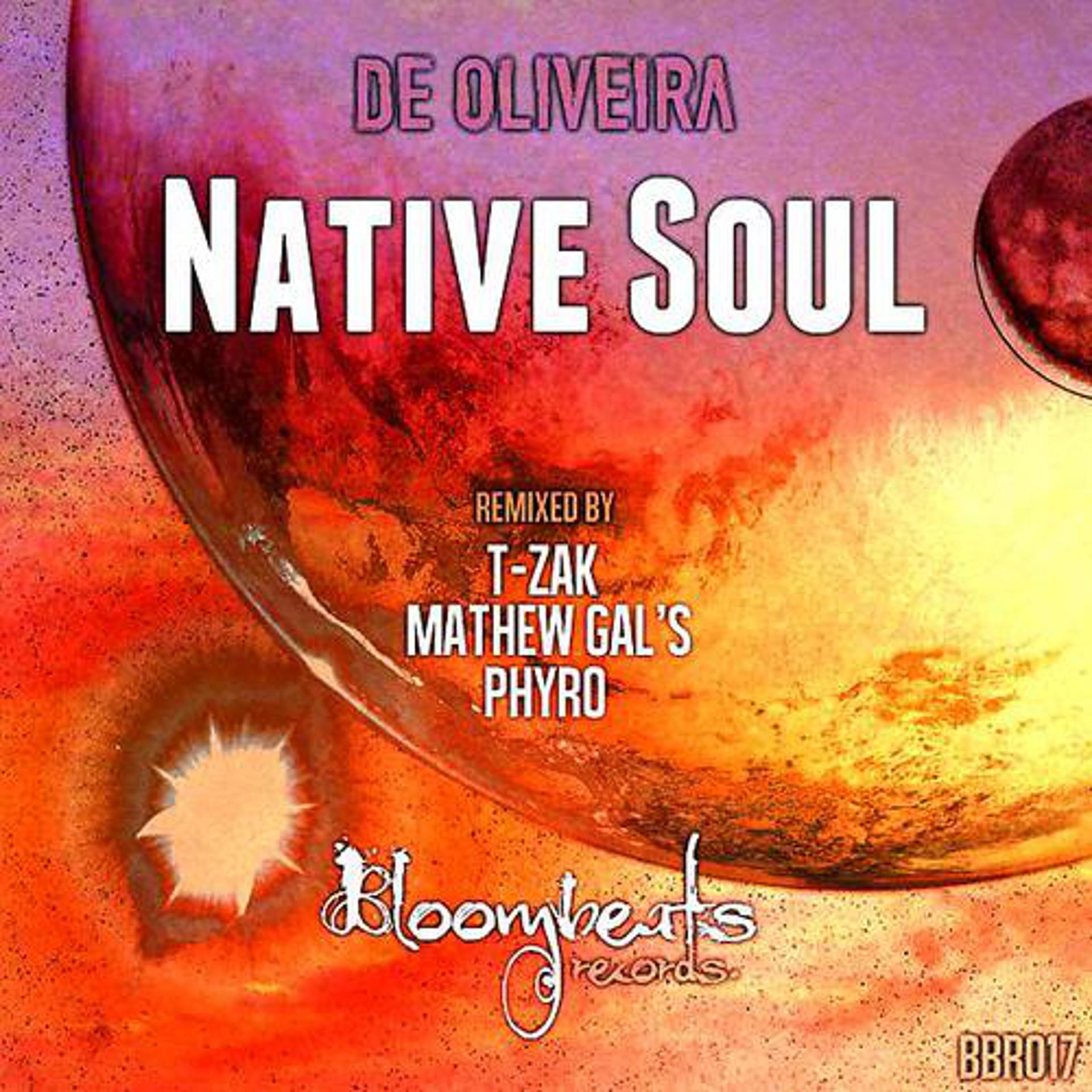 Постер альбома Native Soul EP