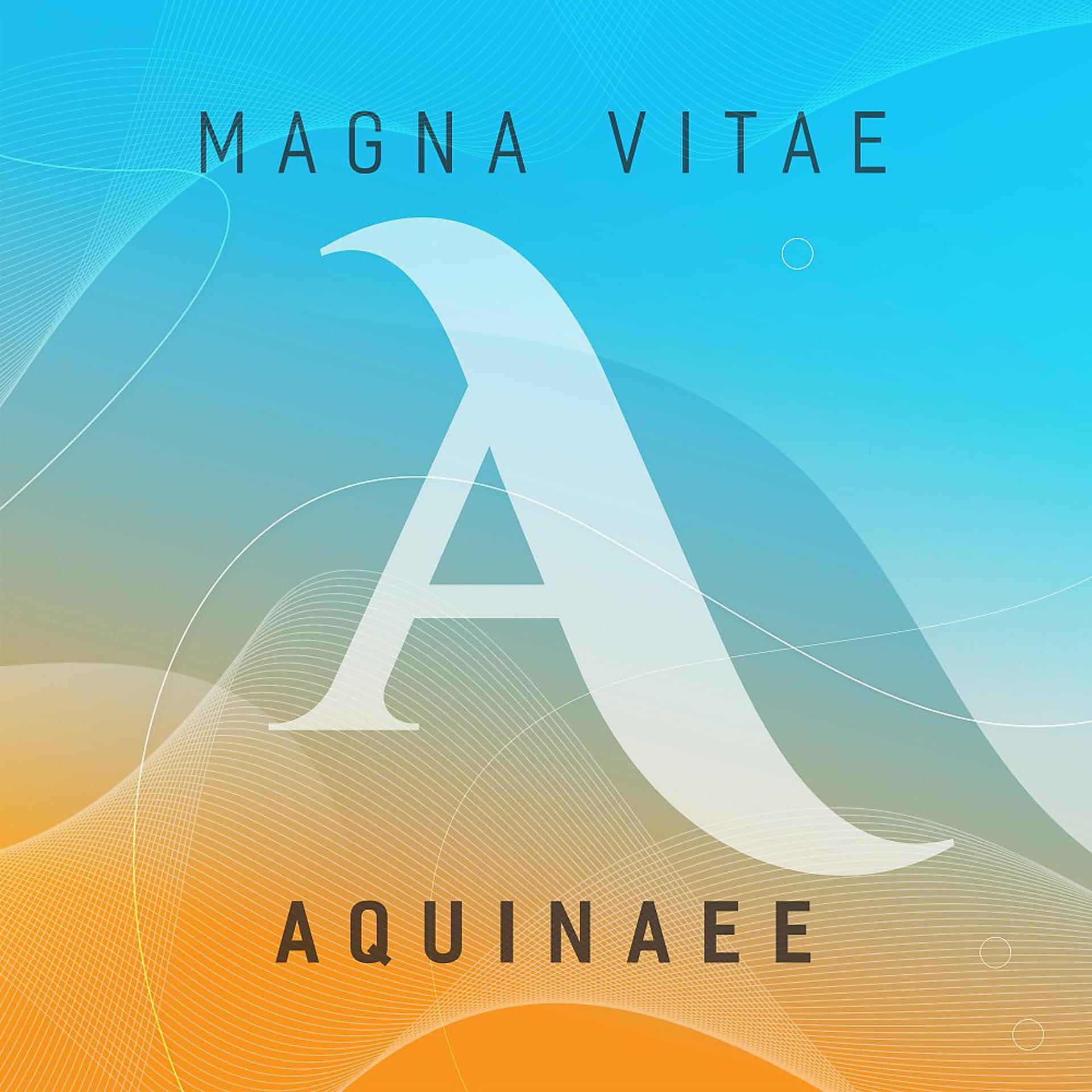 Постер альбома Magna Vitae