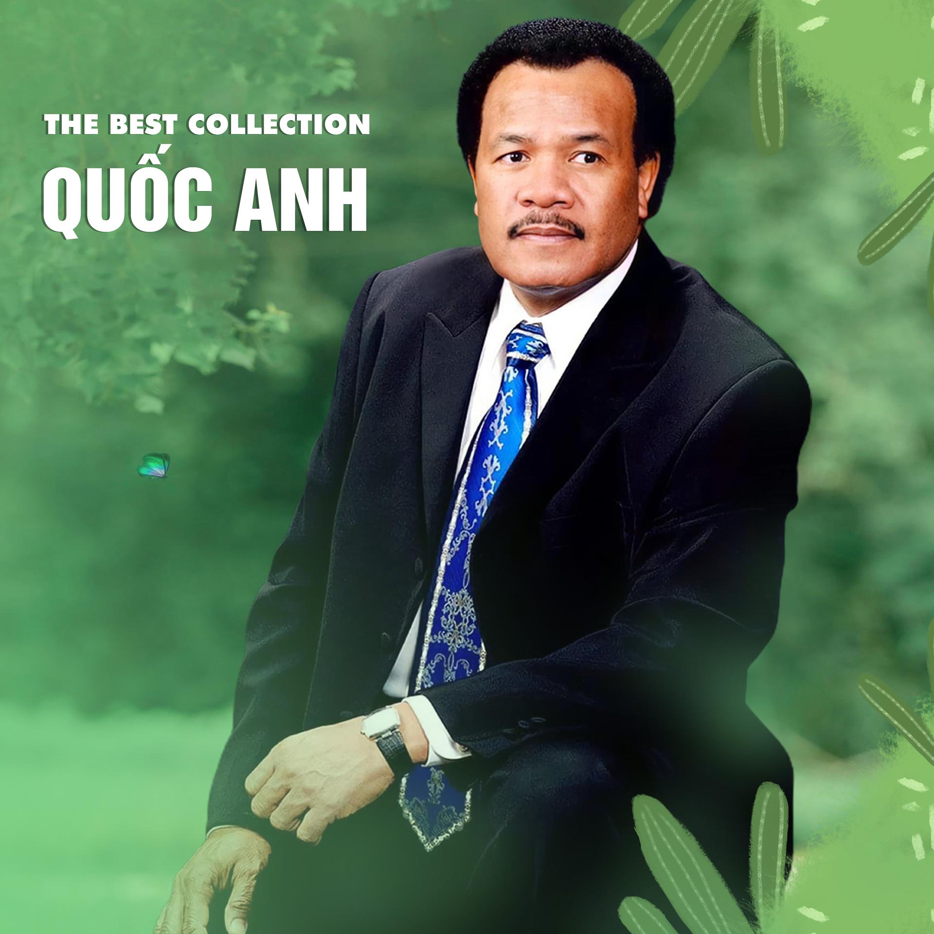 Постер альбома The Best Collection Quốc Anh