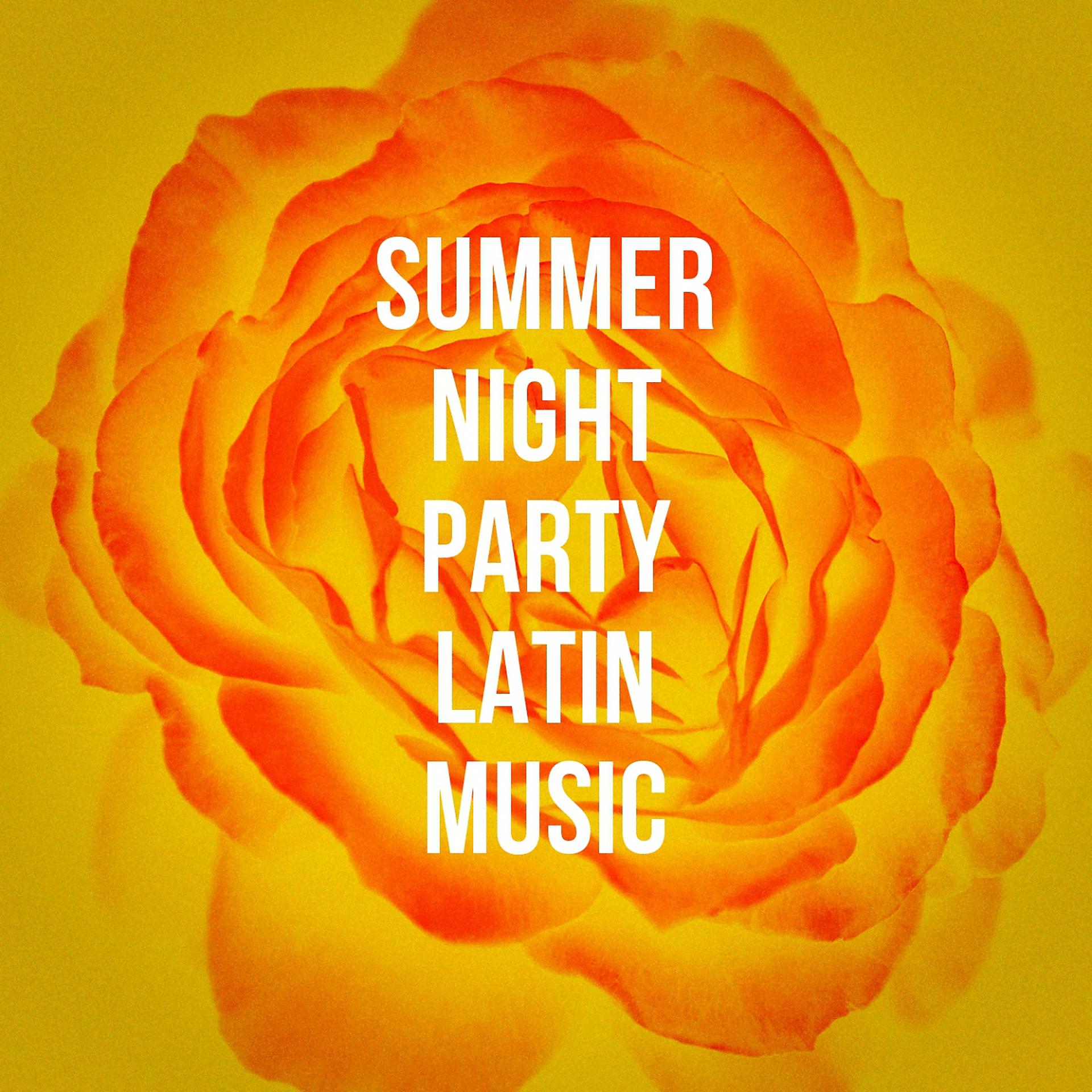 Постер альбома Summer Night Party Latin Music