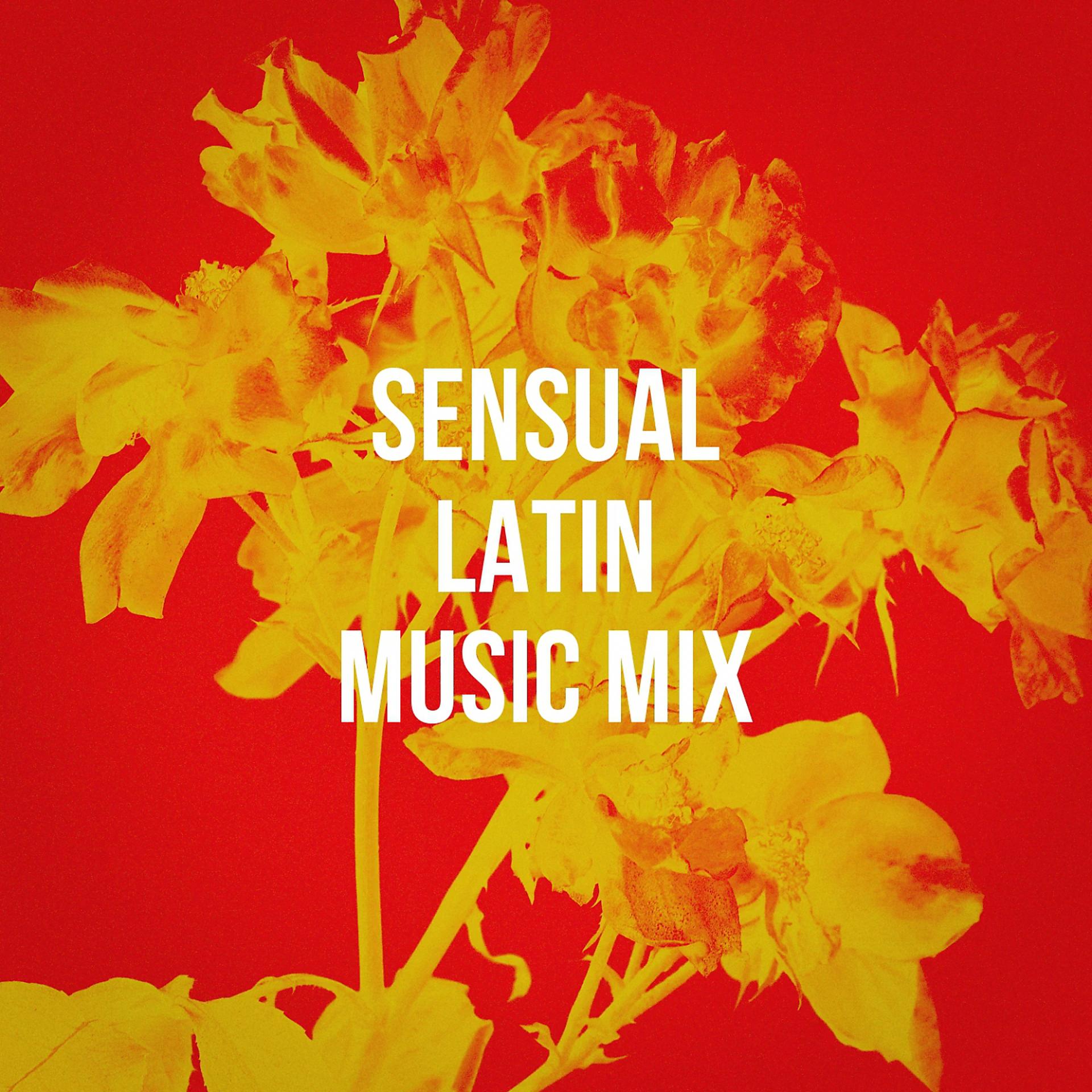Постер альбома Sensual Latin Music Mix