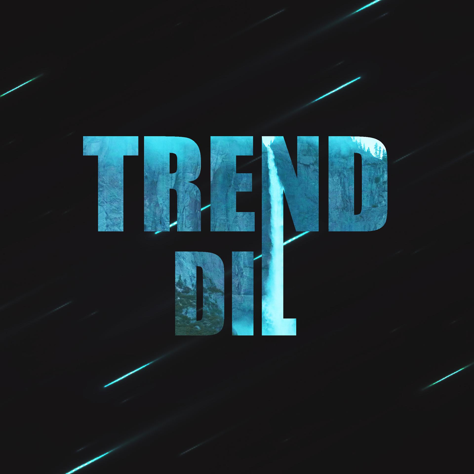 Постер альбома Trend Dil
