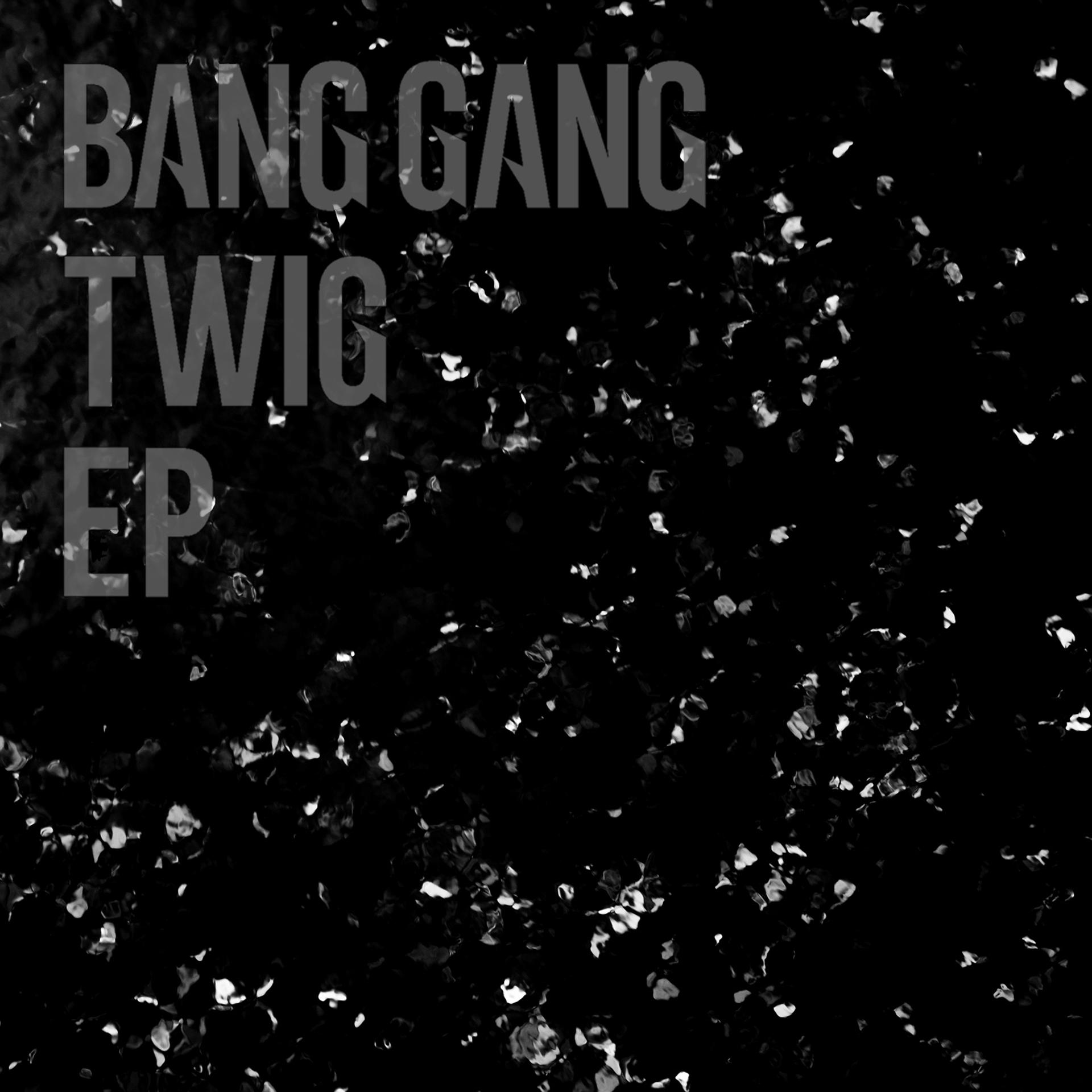 Постер альбома TWIG - EP