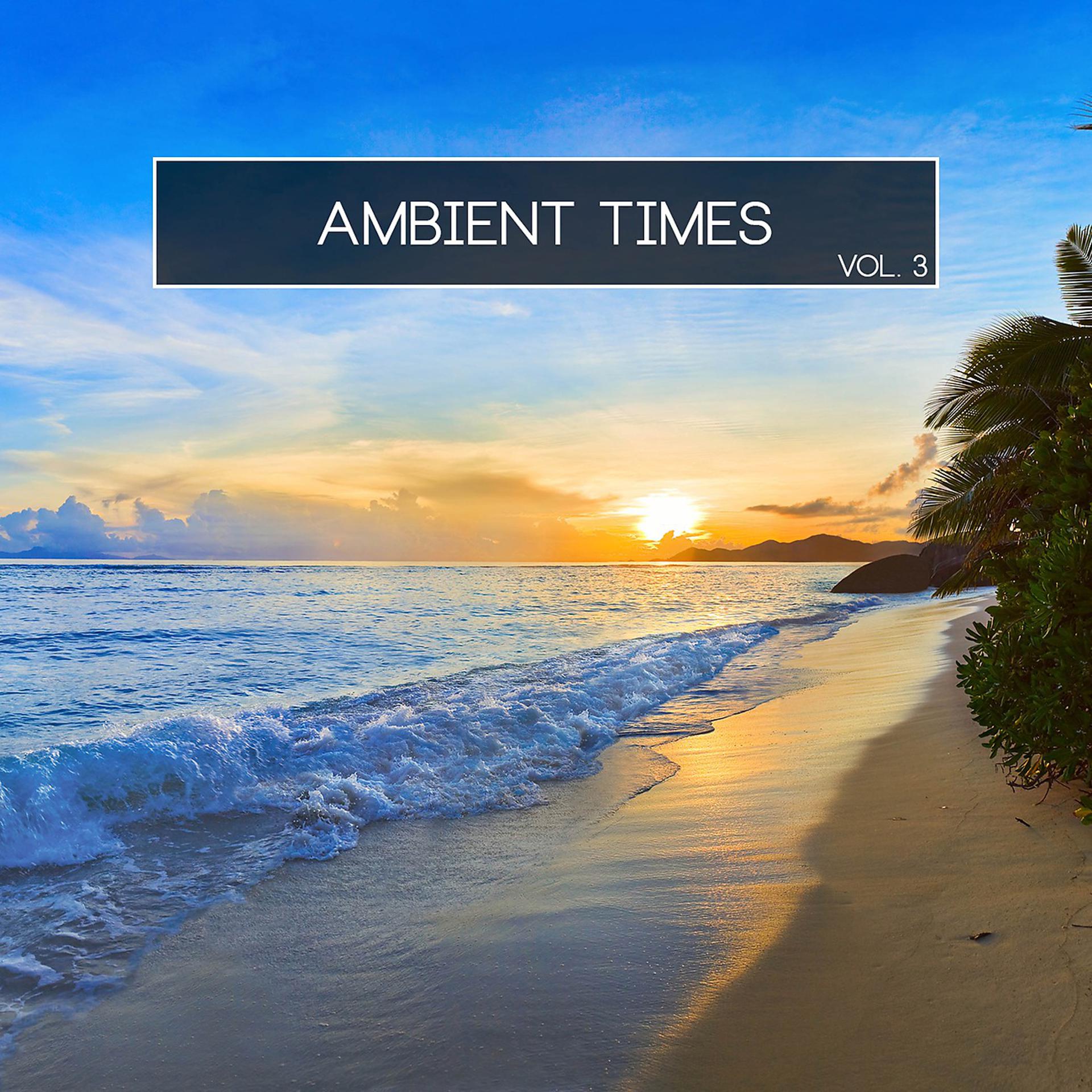 Постер альбома Ambient Times, Vol. 3