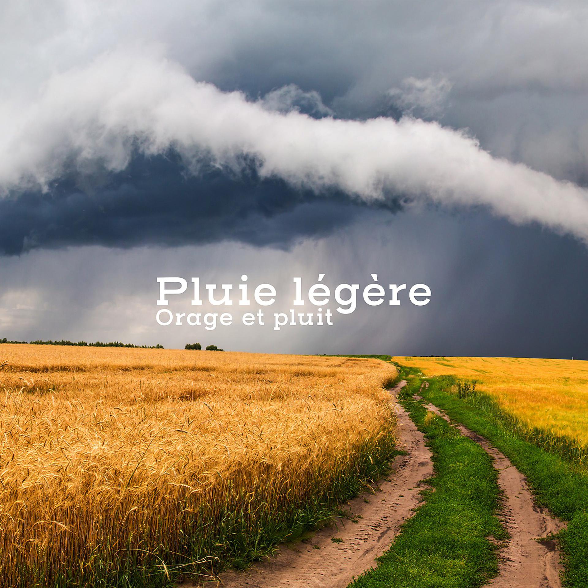 Постер альбома Pluie légère