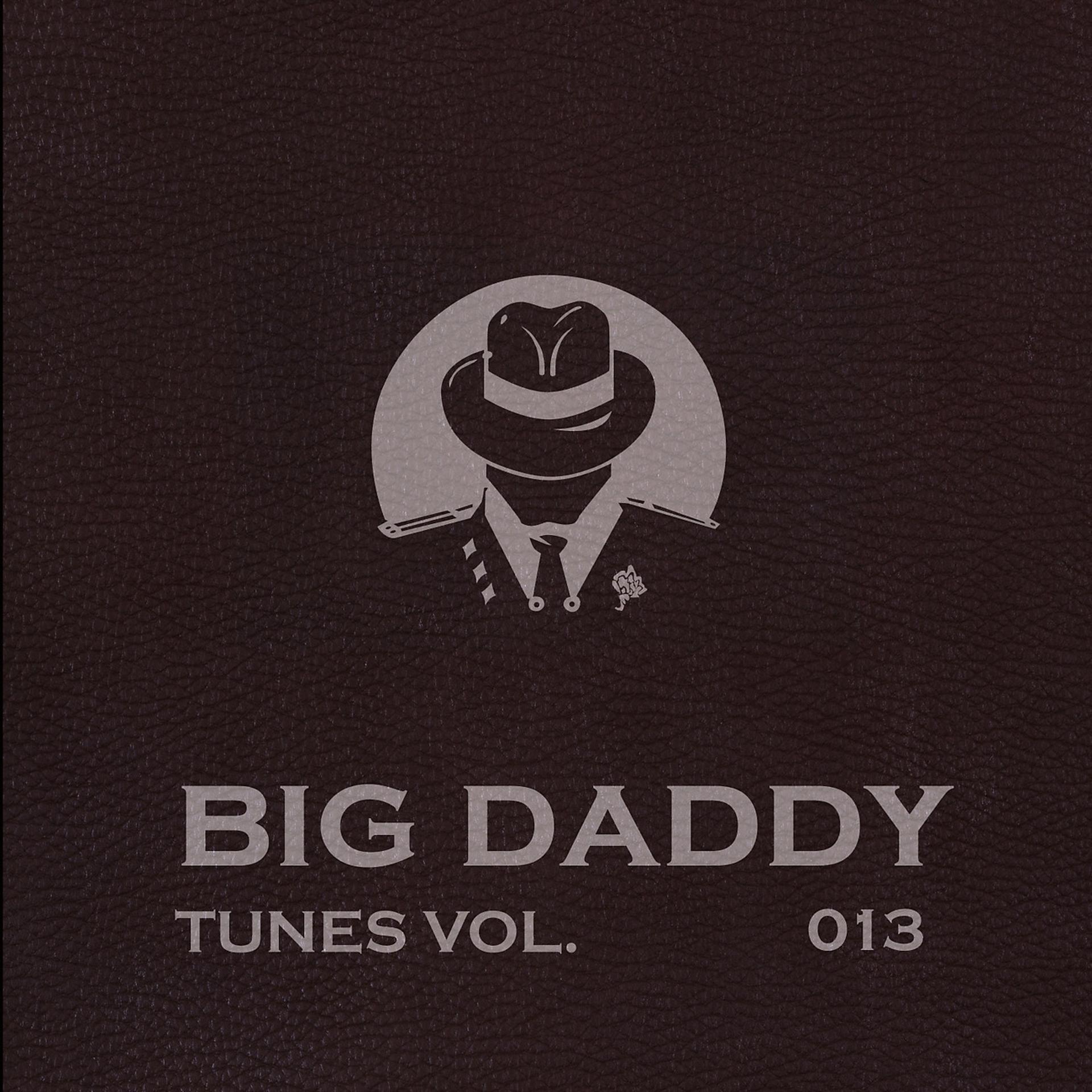 Постер альбома Big Daddy Tunes, Vol.013