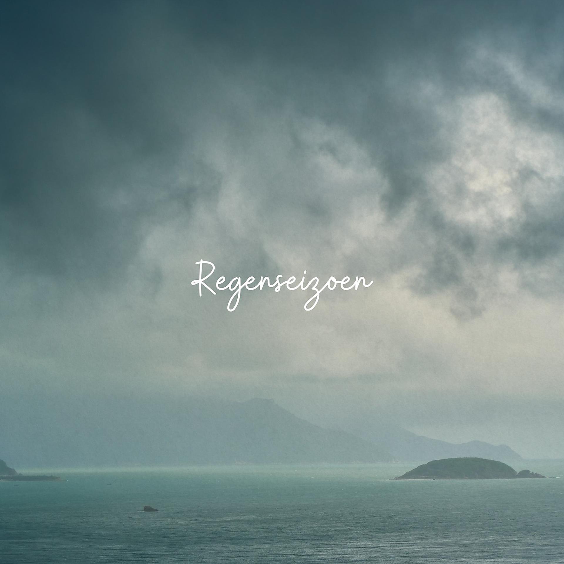 Постер альбома Regenseizoen