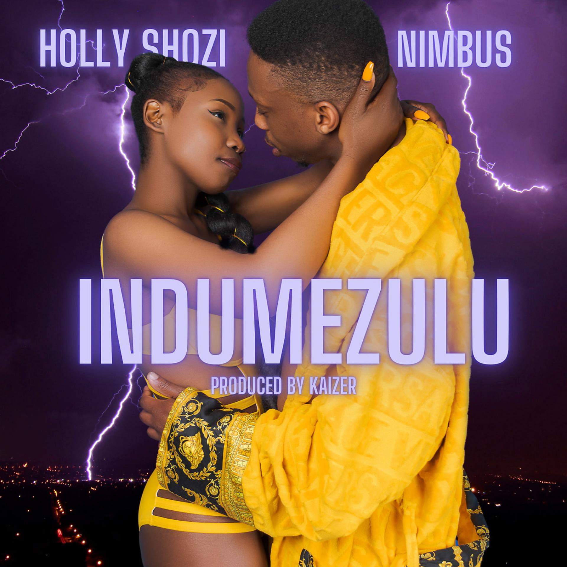 Постер альбома Indumezulu