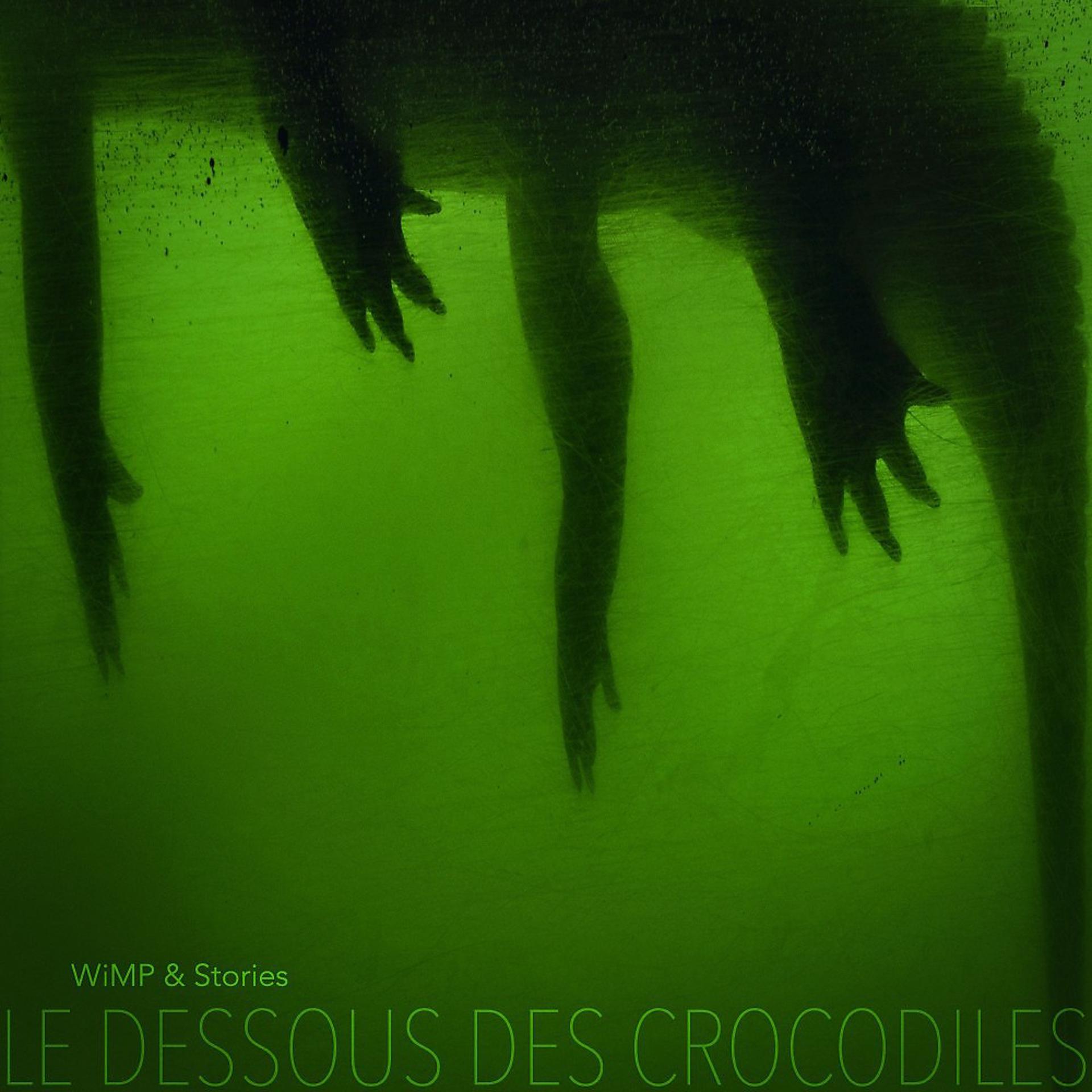 Постер альбома Le dessous des crocodiles