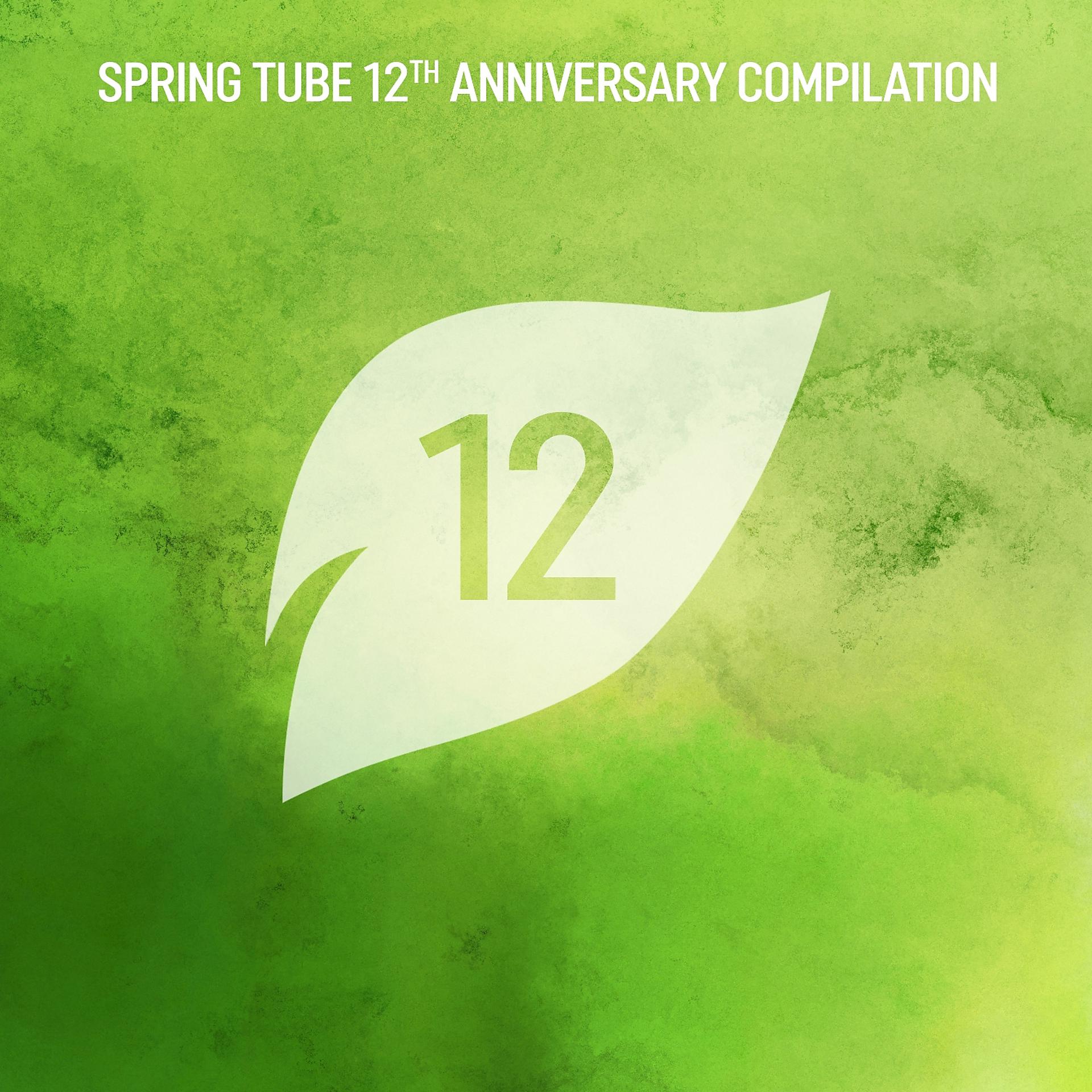 Постер альбома Spring Tube 12th Anniversary Compilation