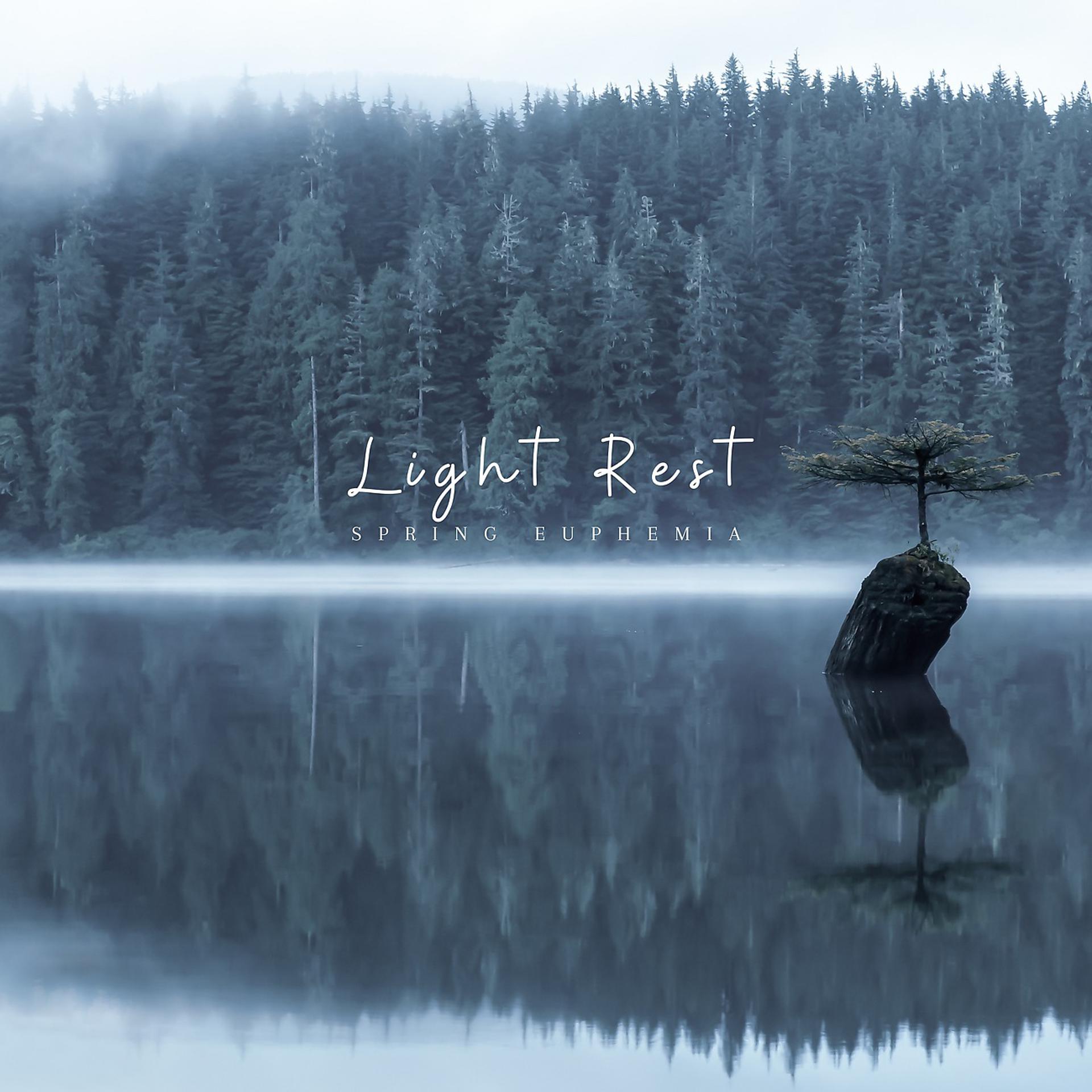 Постер альбома Light Rest