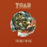 Постер альбома The Best of Me (feat. Michael McDonald)