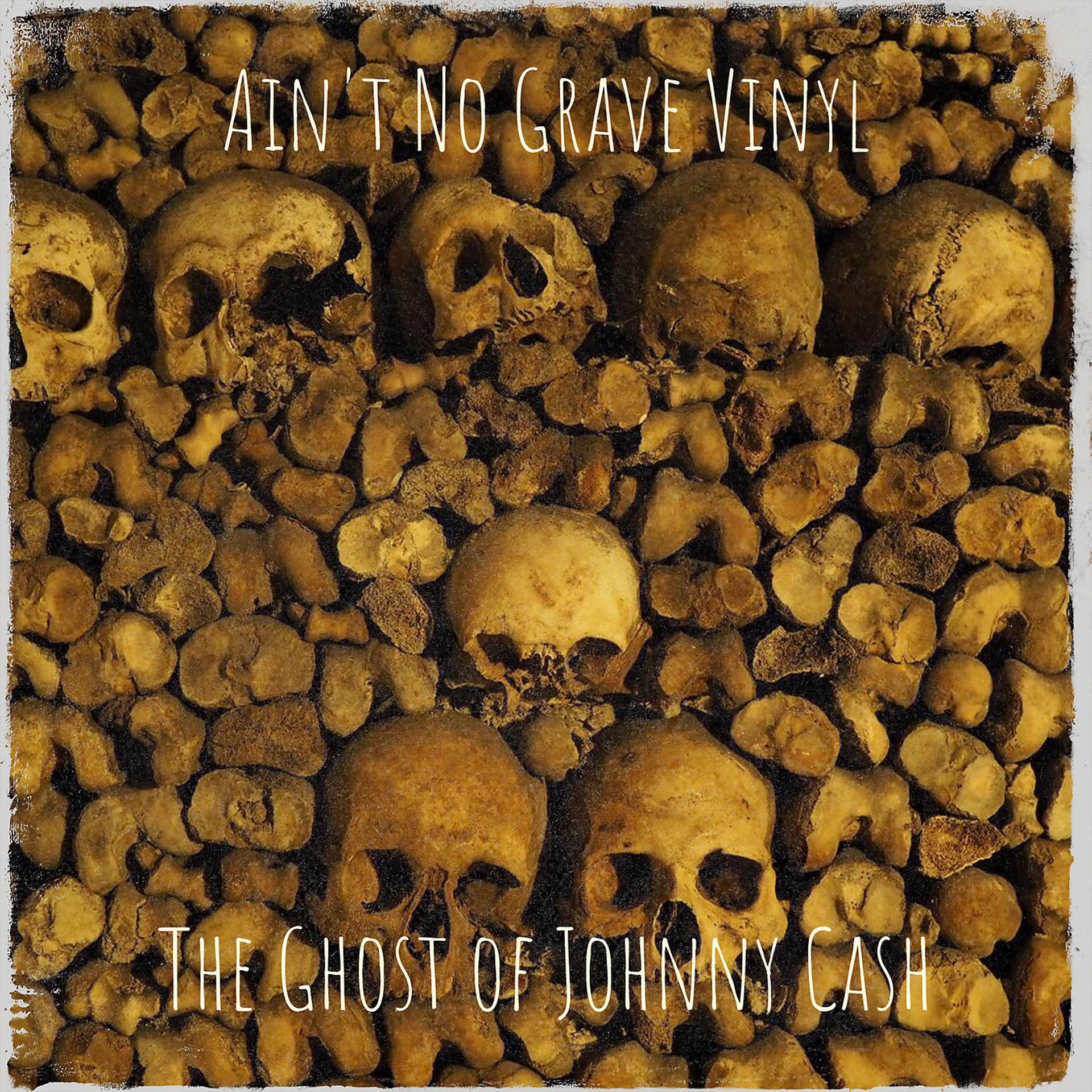 Постер альбома Ain't No Grave Vinyl