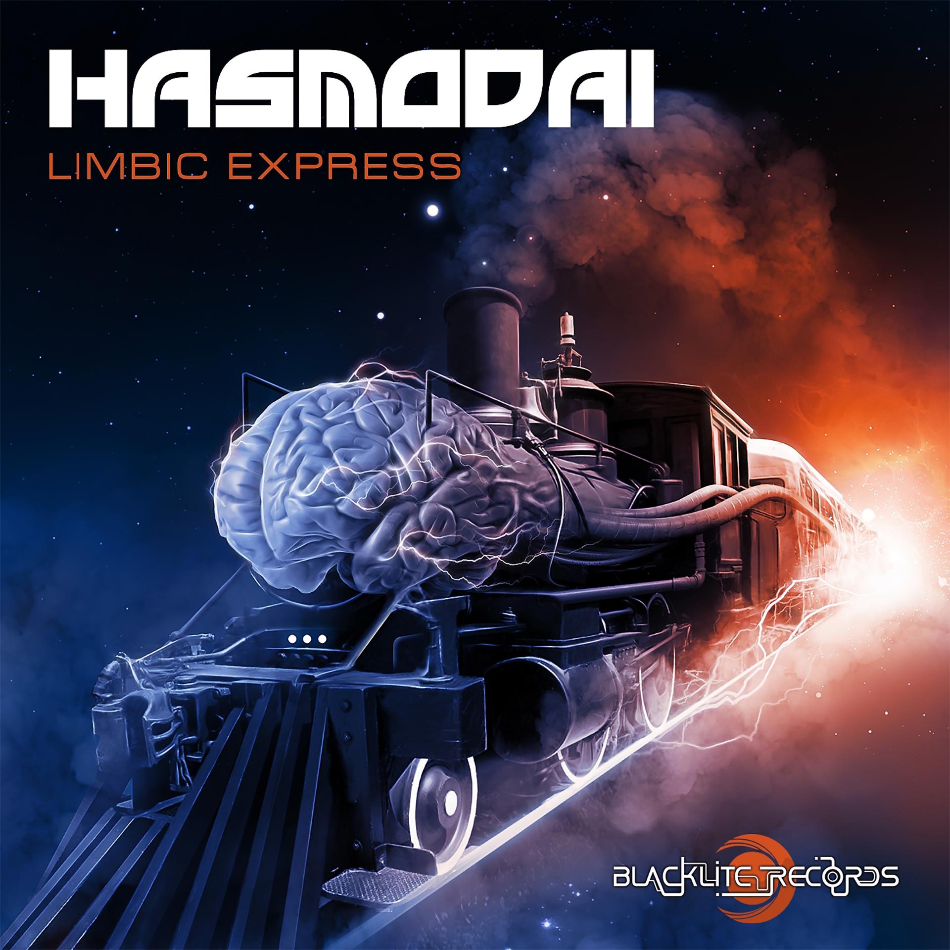Постер альбома Limbic Express