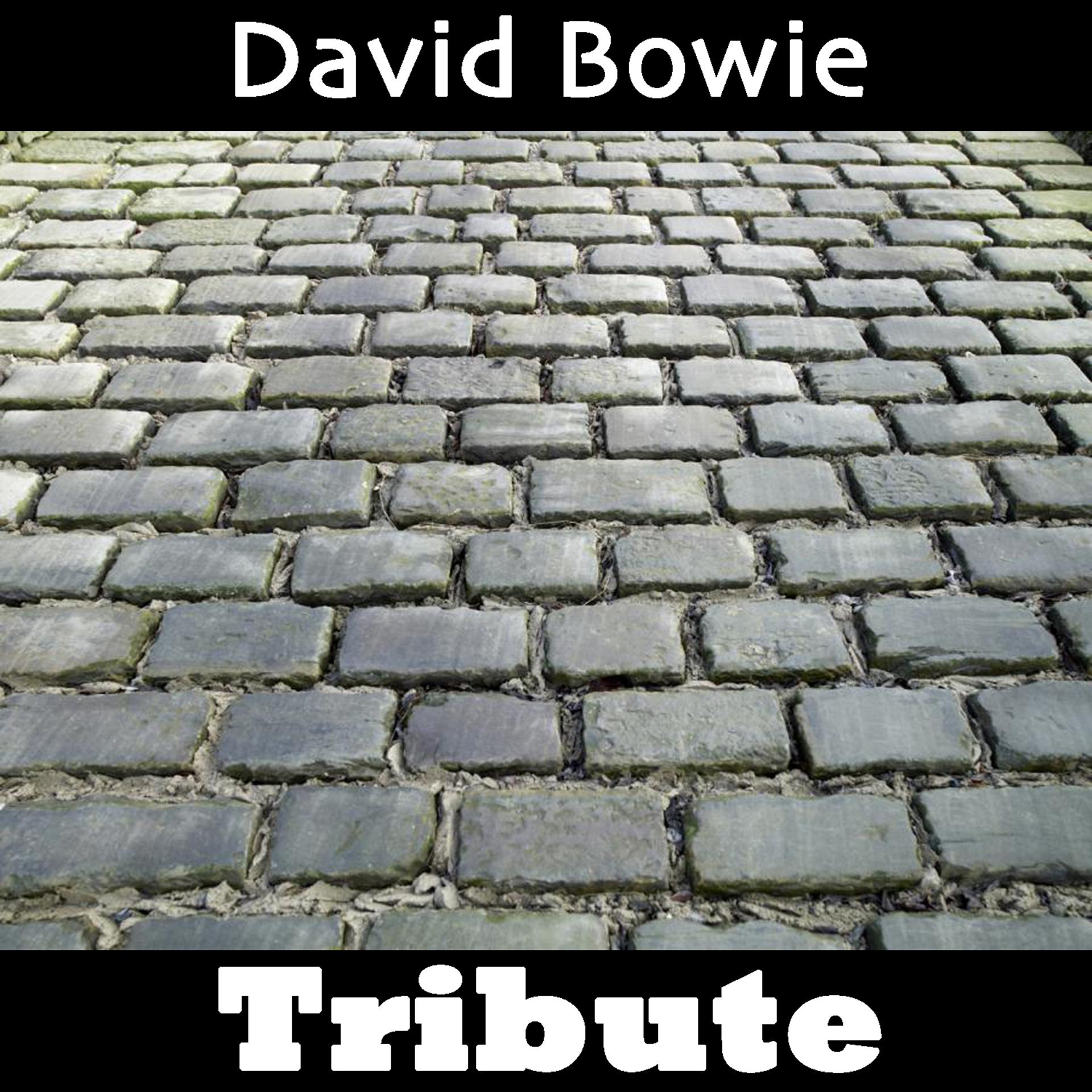 Постер альбома Space Oddity: Tribute To David Bowie Part 1