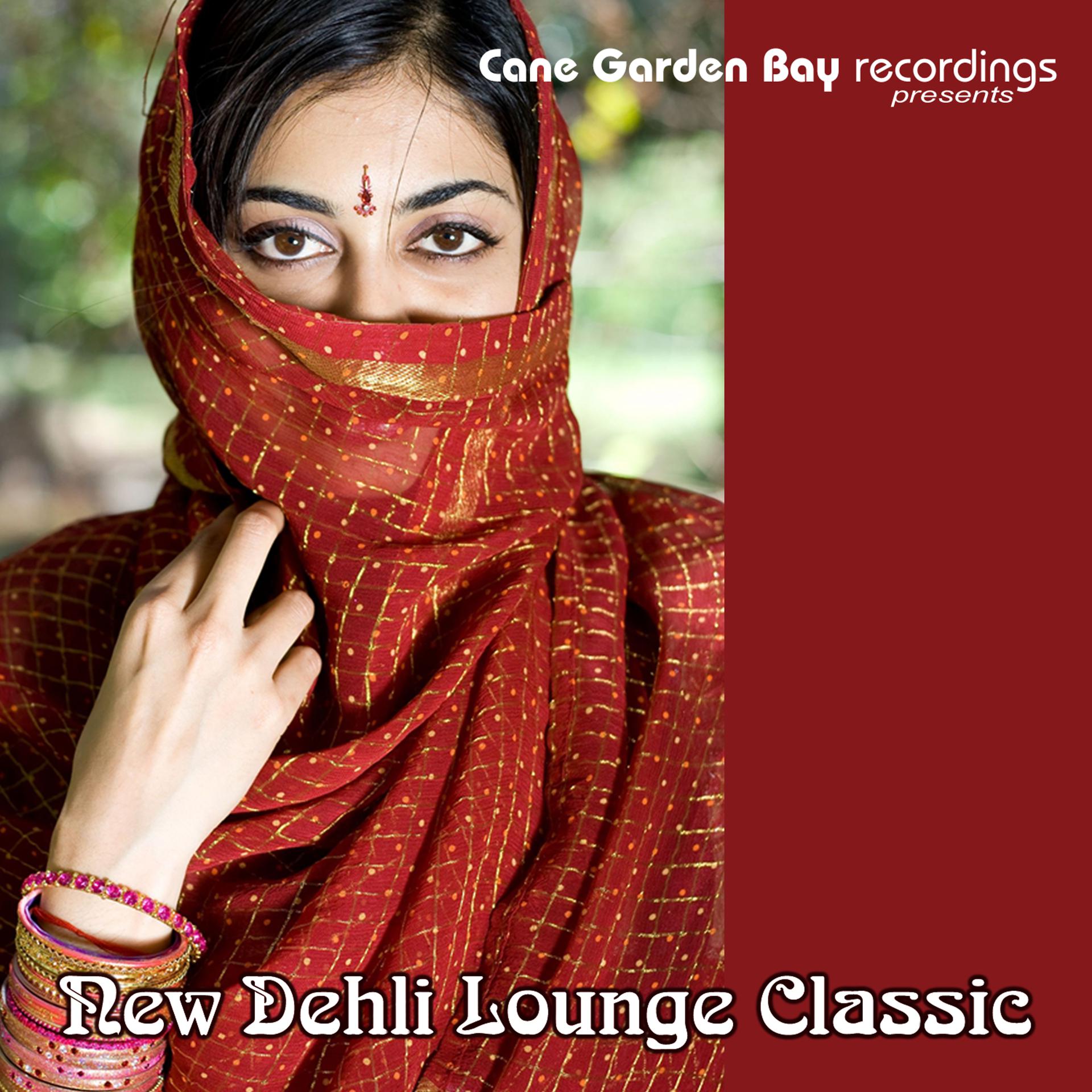 Постер альбома New Dehli Lounge Classic