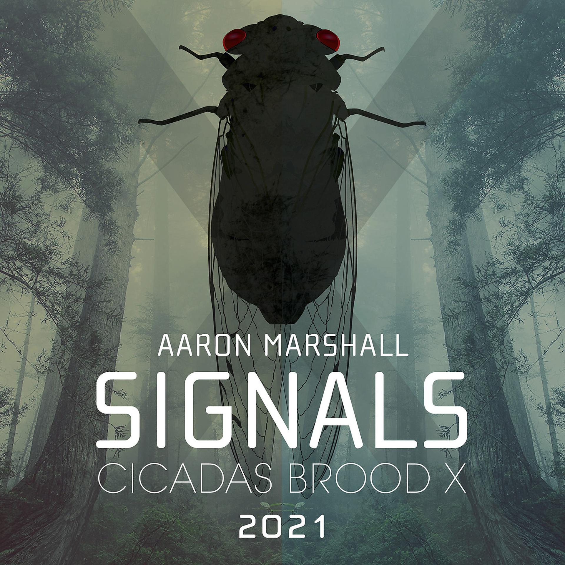 Постер альбома Signals (Cicadas Brood X 2021)
