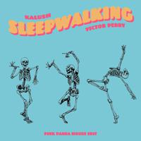 Постер альбома Sleepwalking (Pink Panda House Edit)