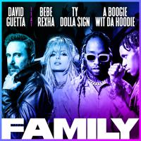 Постер альбома Family (feat. Bebe Rexha, Ty Dolla $ign & A Boogie Wit da Hoodie)