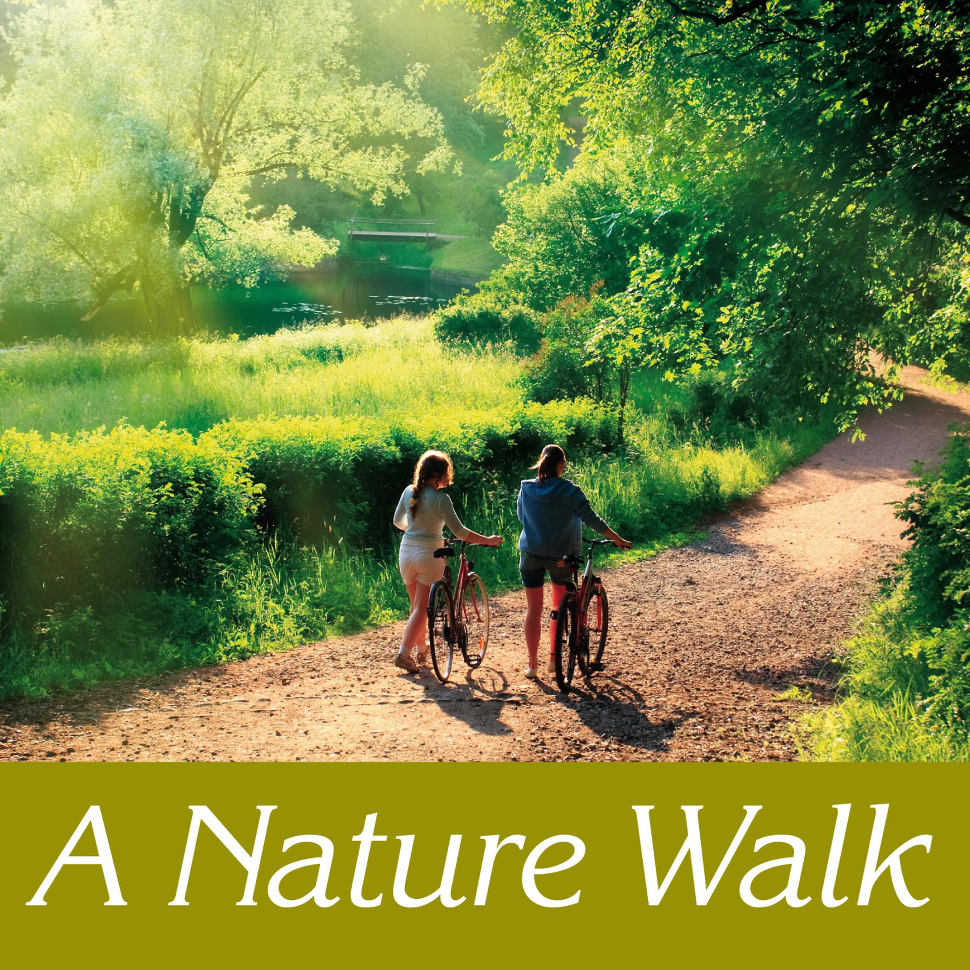 Постер альбома A nature walk