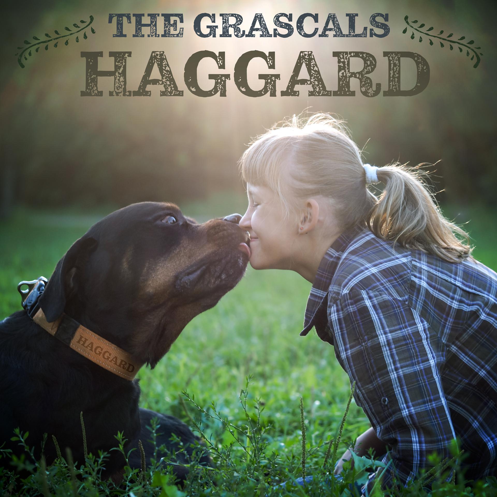 Постер альбома Haggard