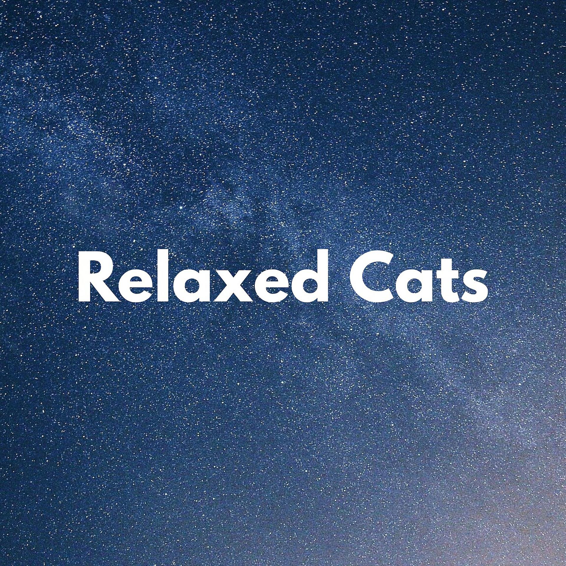 Постер альбома Relaxed Cats