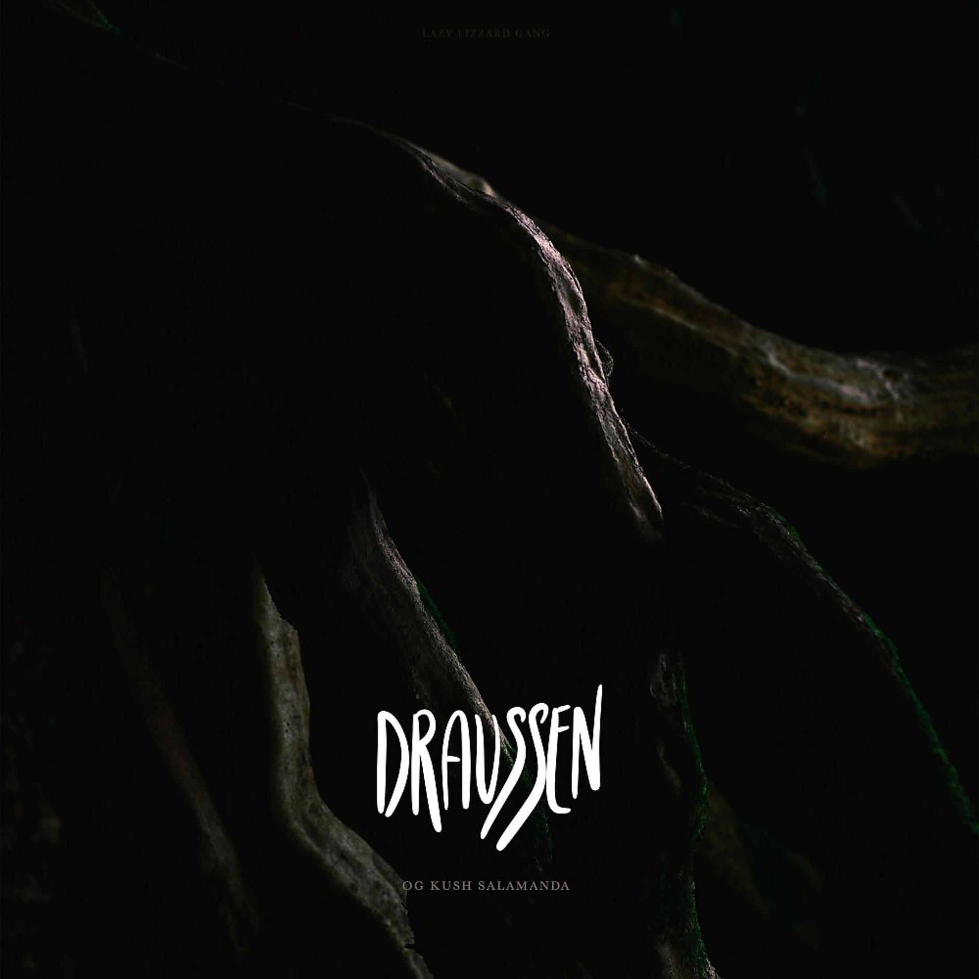 Постер альбома Draussen