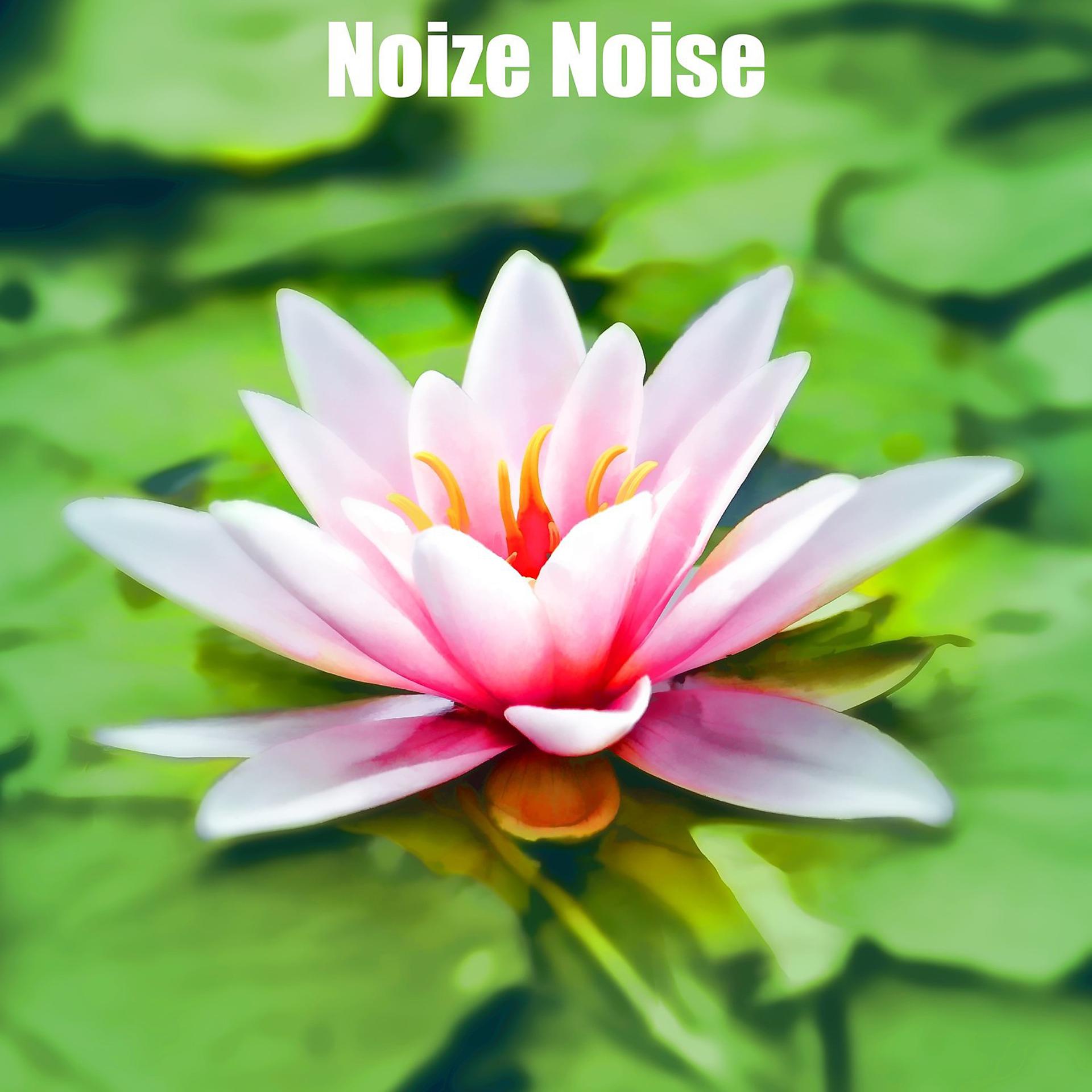 Постер альбома Noize Noise