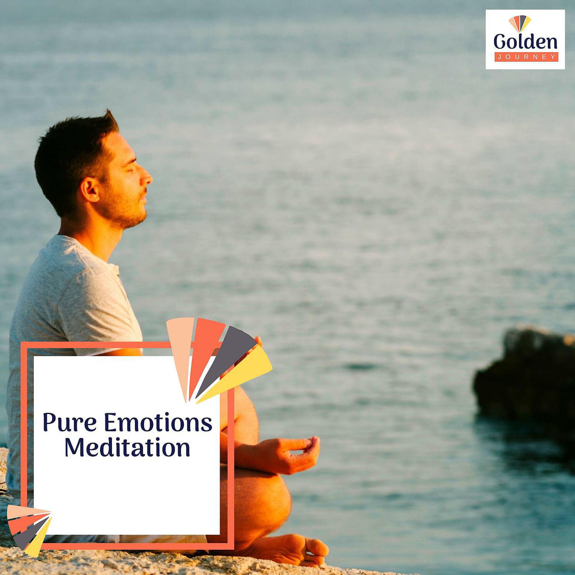 Постер альбома Pure Emotions Meditation