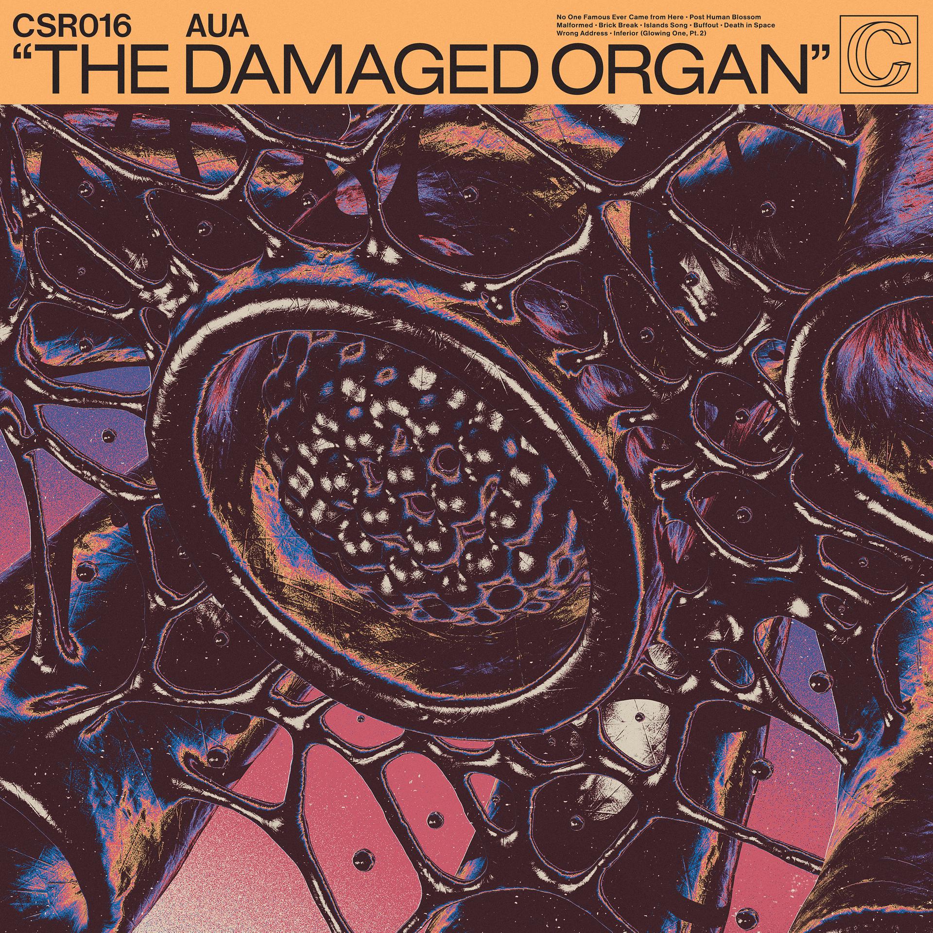 Постер альбома The Damaged Organ