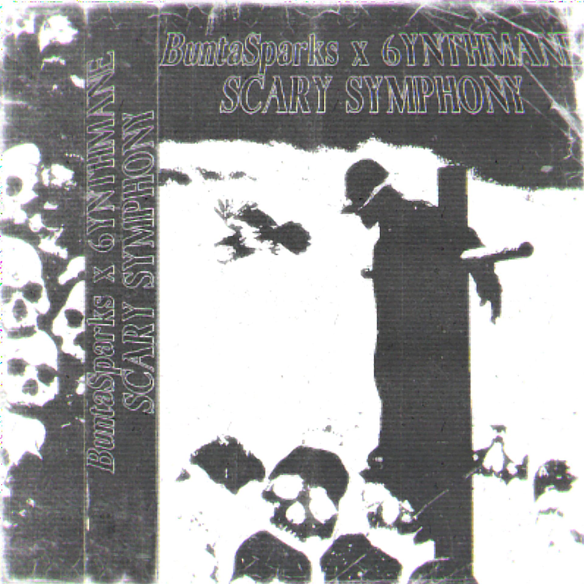Постер альбома SCARY SYMPHONY