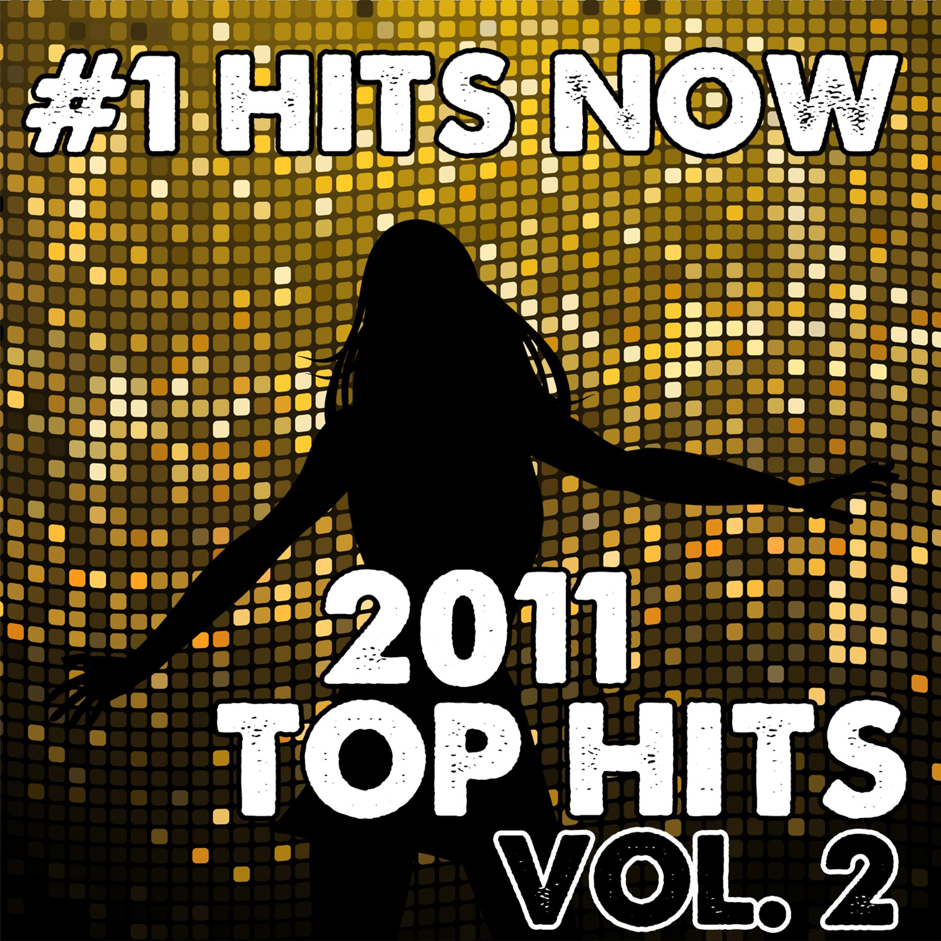 Постер альбома 2011 Top Hits Vol. 2