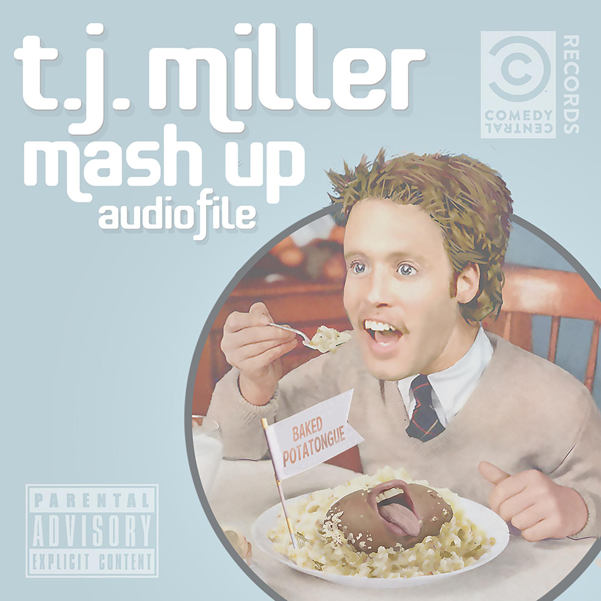 Постер альбома Mash up Audiofile