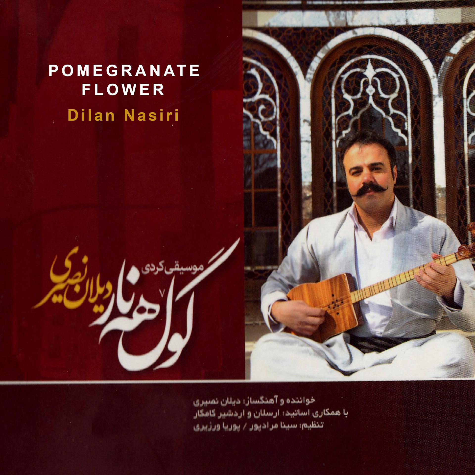 Постер альбома Pomegranate Flower