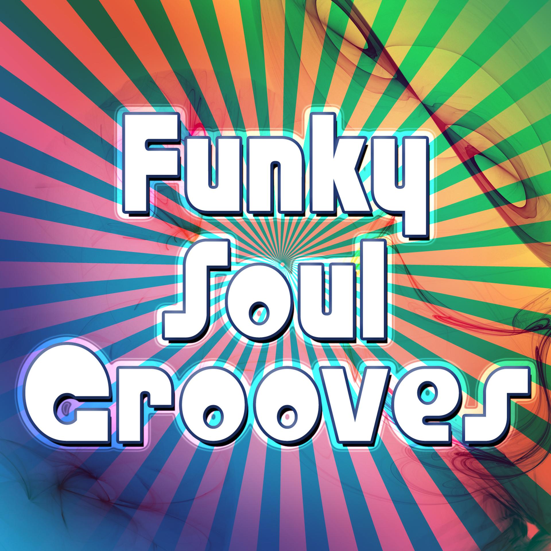 Постер альбома Funky Soul Grooves