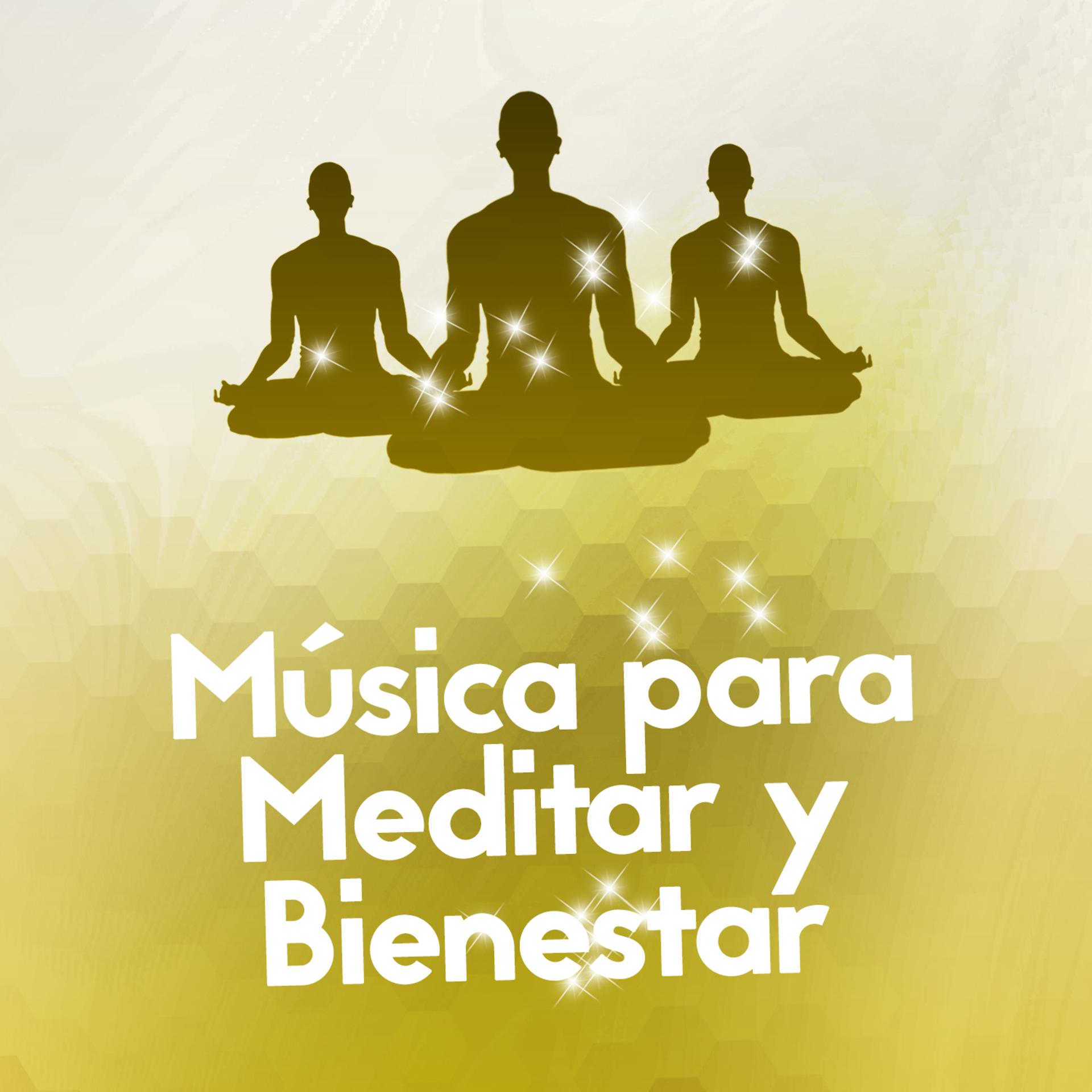 Постер альбома Música para Meditar y Bienestar