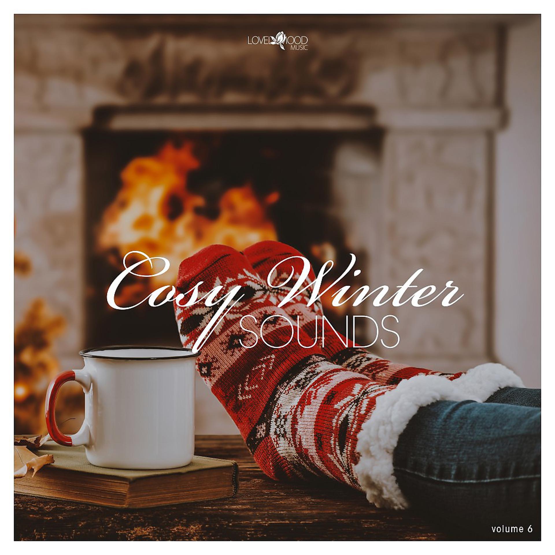 Постер альбома Cosy Winter Sounds, Vol. 6