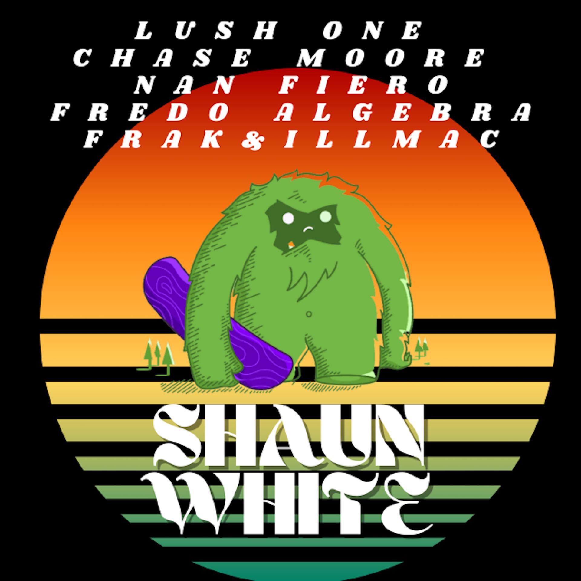 Постер альбома Shaun White