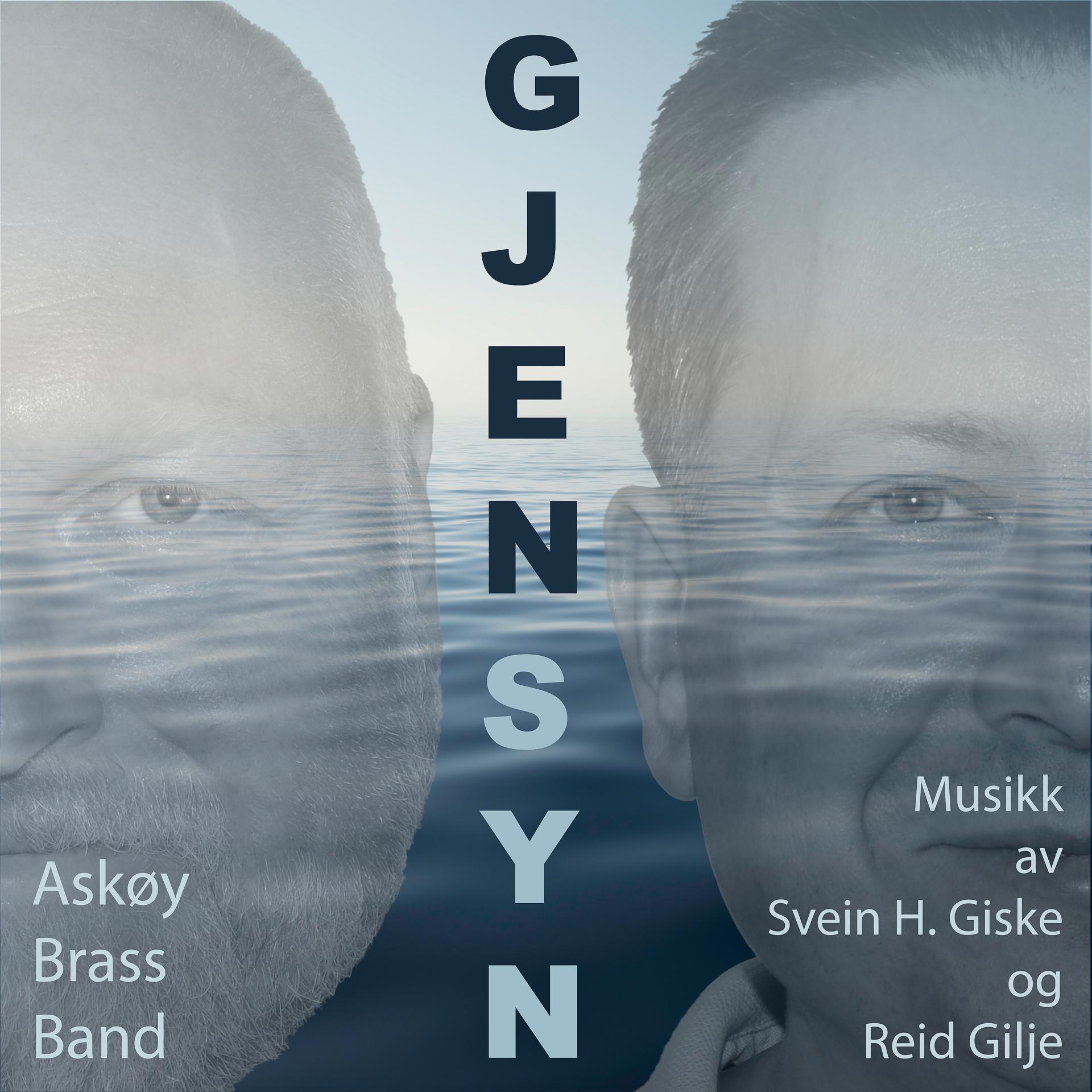 Постер альбома Gjensyn