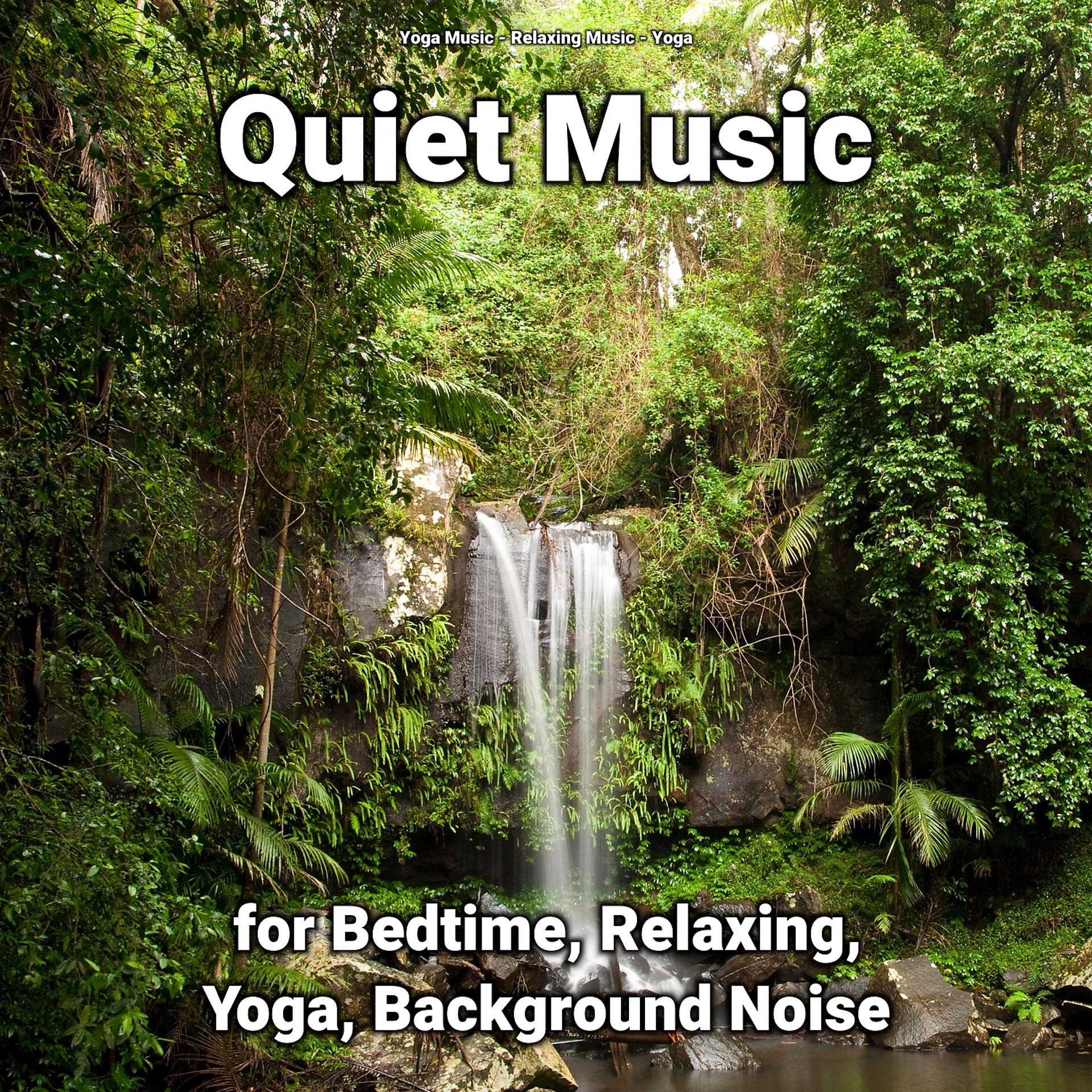 Постер альбома Quiet Music for Bedtime, Relaxing, Yoga, Background Noise