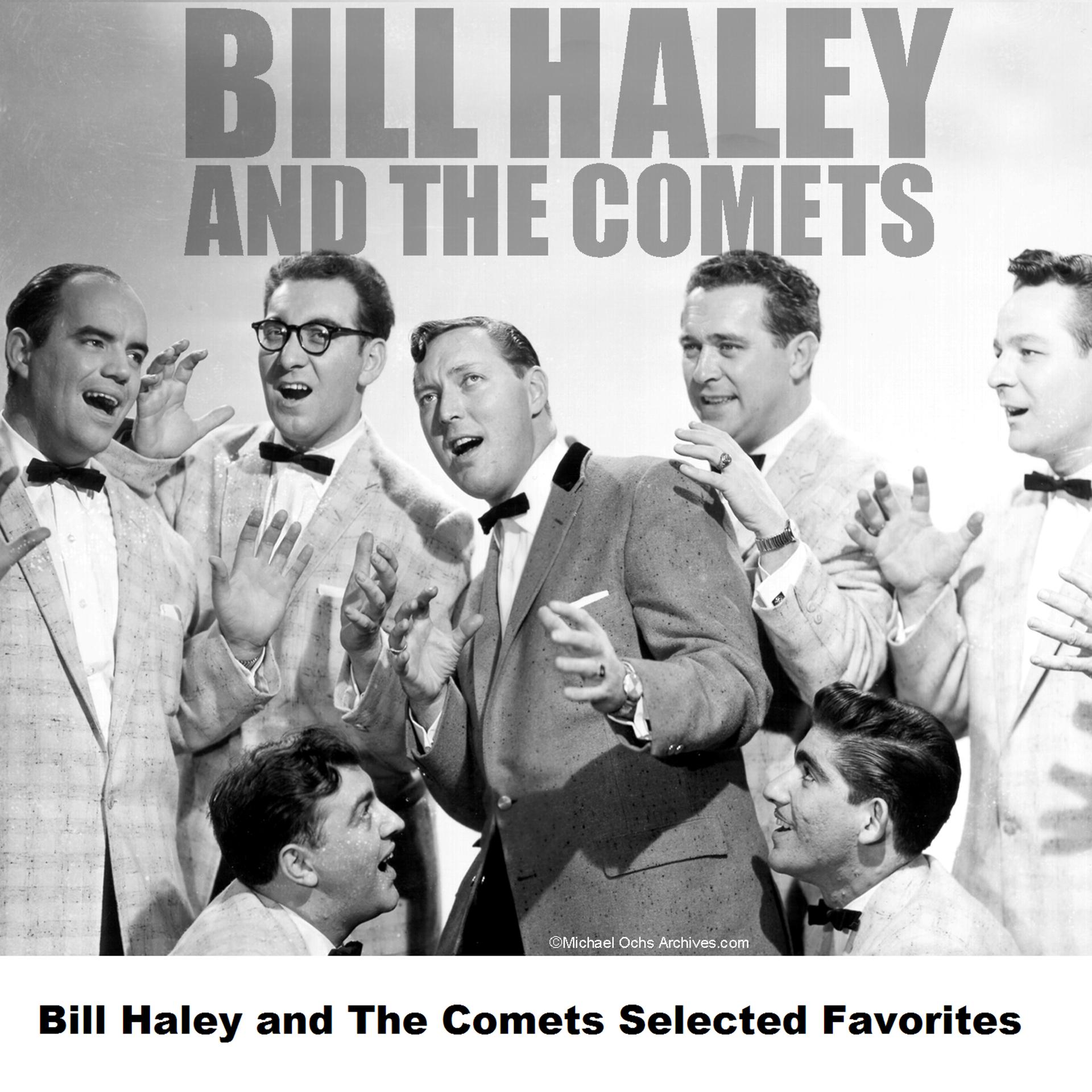 Постер альбома Bill Haley and The Comets Selected Favorites