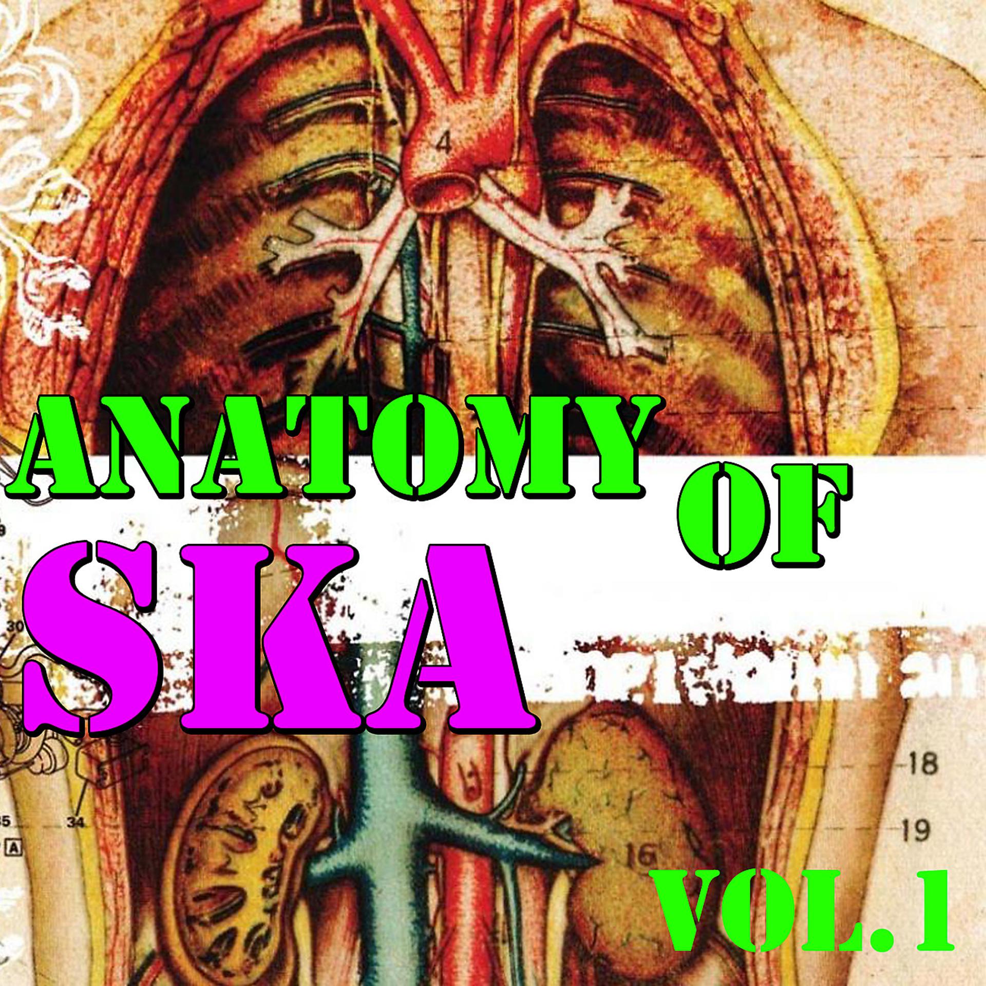 Постер альбома Anatomy Of Ska, Vol.1