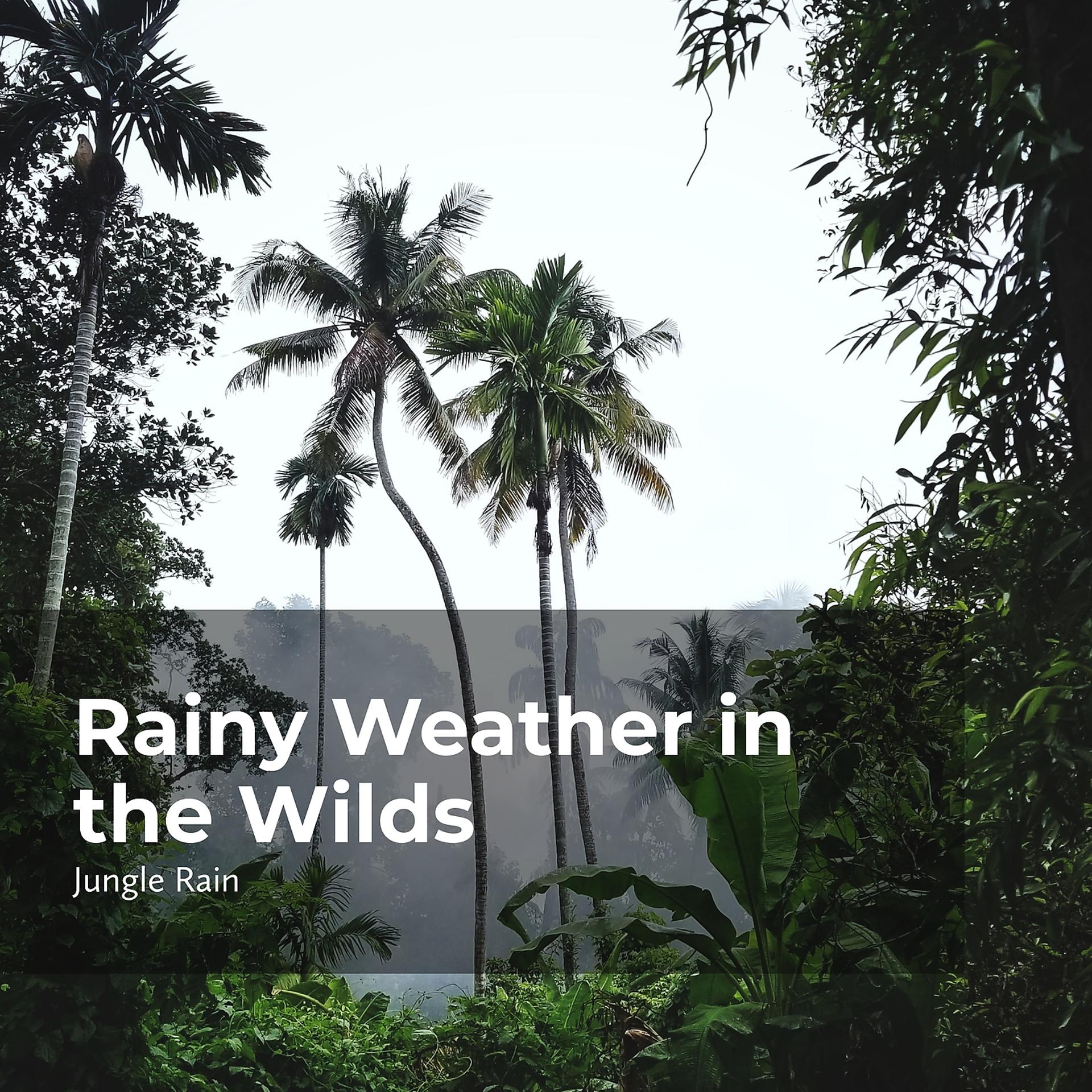 Постер альбома Rainy Weather in the Wilds