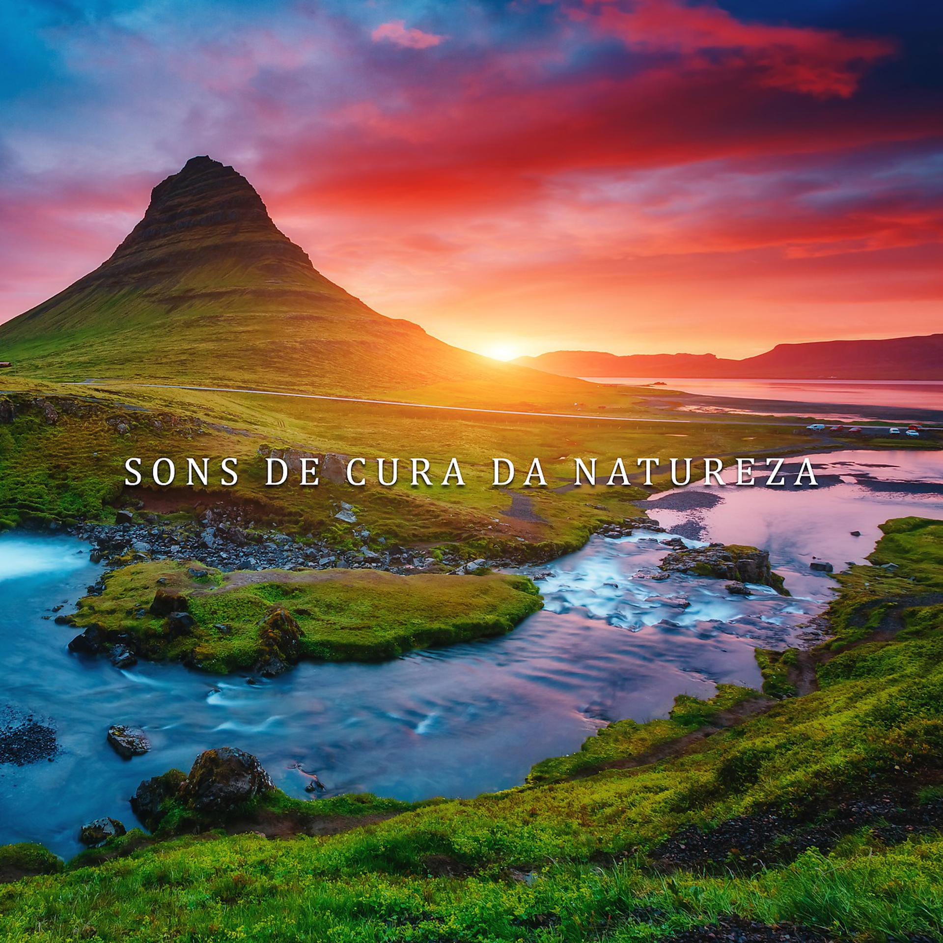 Постер альбома Sons de Cura da Natureza