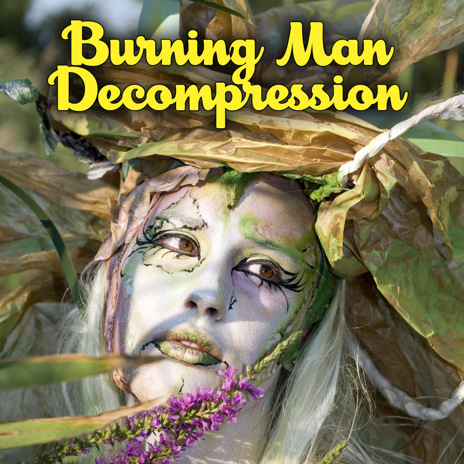 Постер альбома Burning Man Decompression