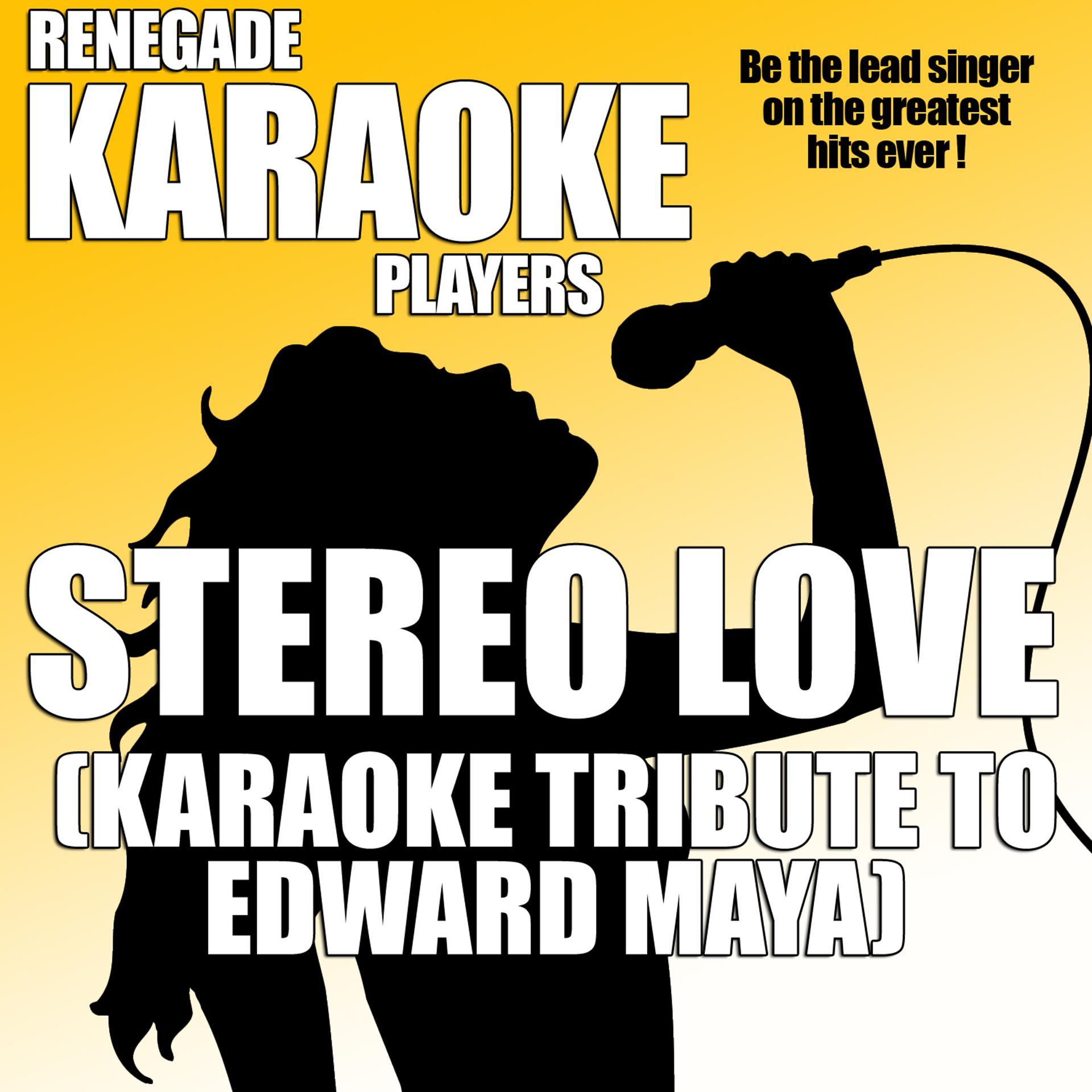 Постер альбома Stereo Love (Karaoke Tribute to Edward Maya)
